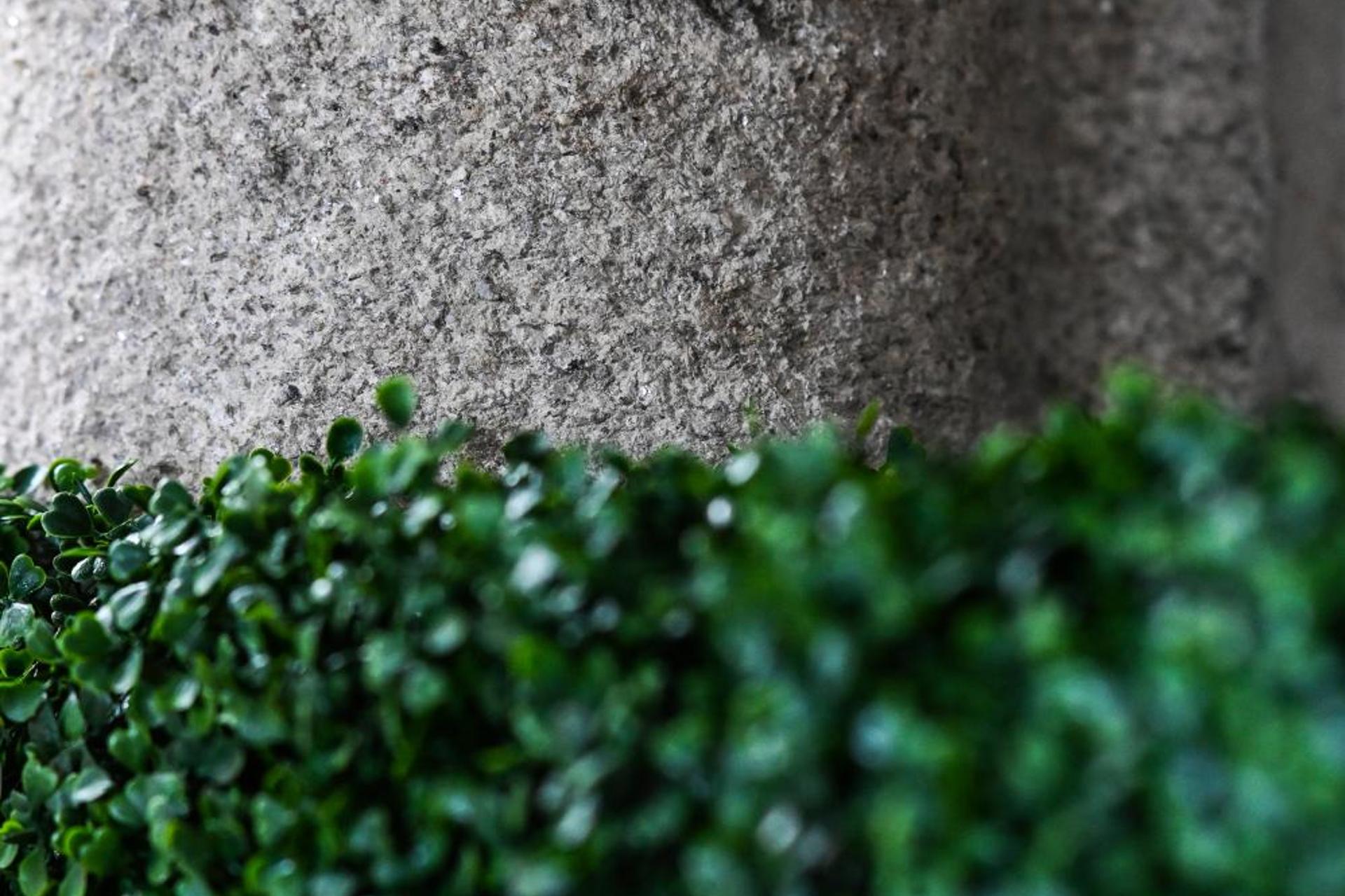 Descubra o 6/4 de Lamego: O Refúgio Perfeito em Portugal - Imagem 50