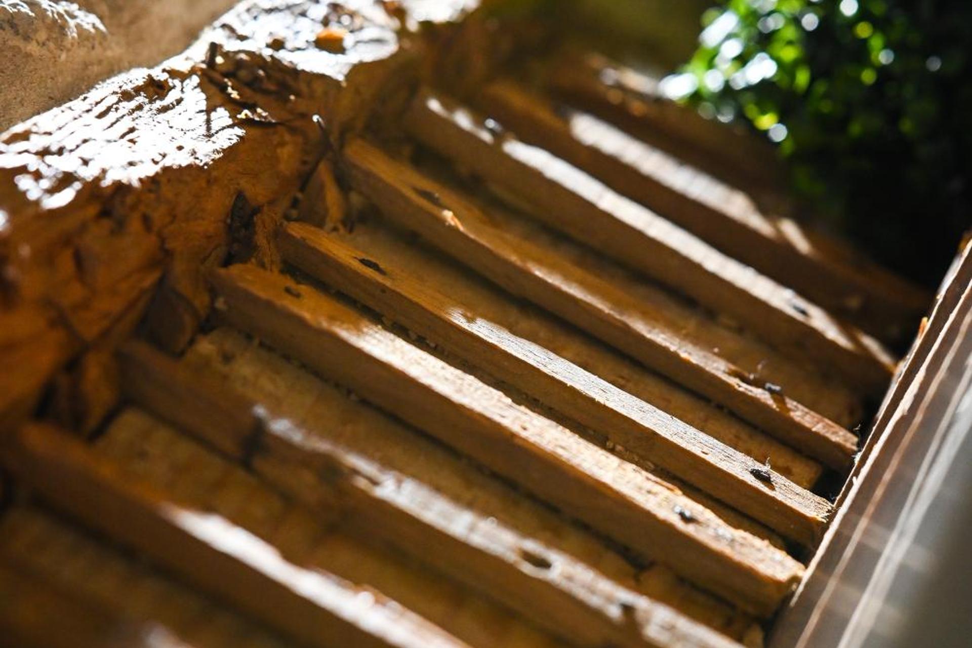 Descubra o 6/4 de Lamego: O Refúgio Perfeito em Portugal - Imagem 53