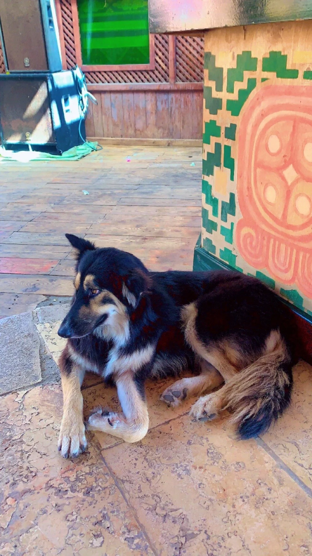 Acacia Dahab Hotel - Image 9