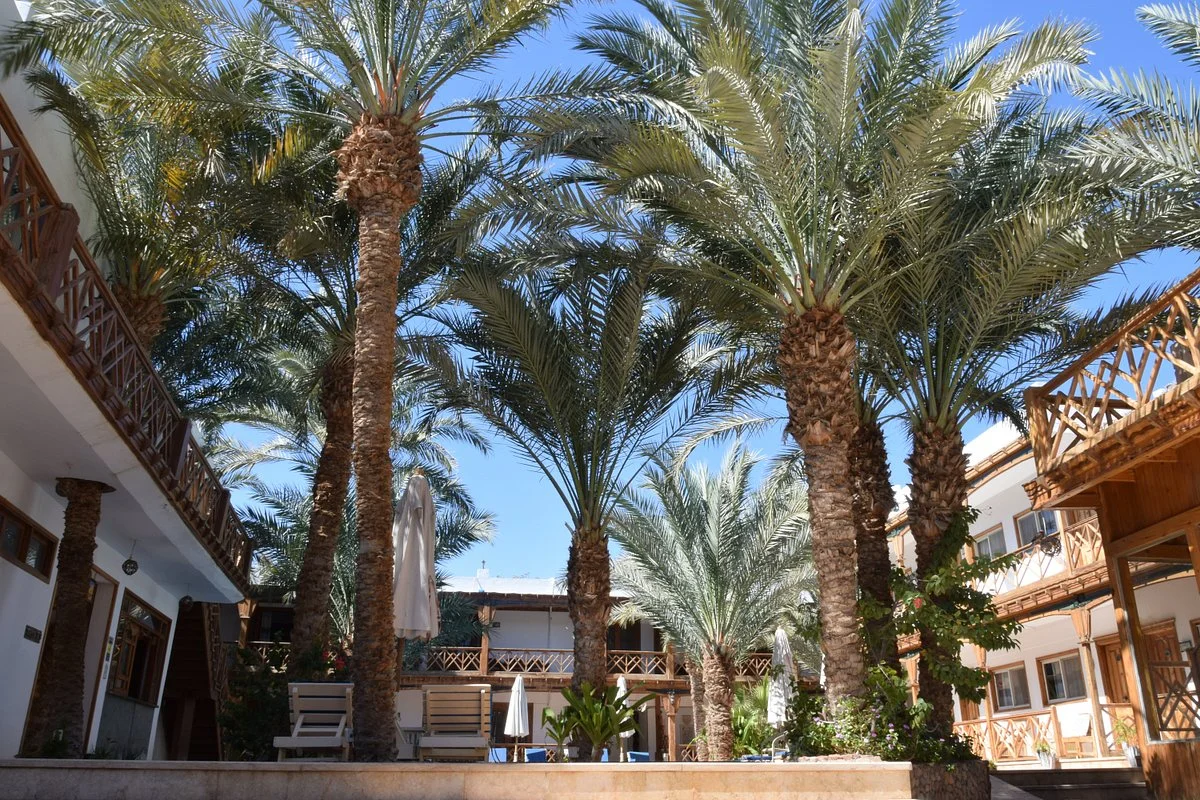 Acacia Dahab Hotel - Image 10