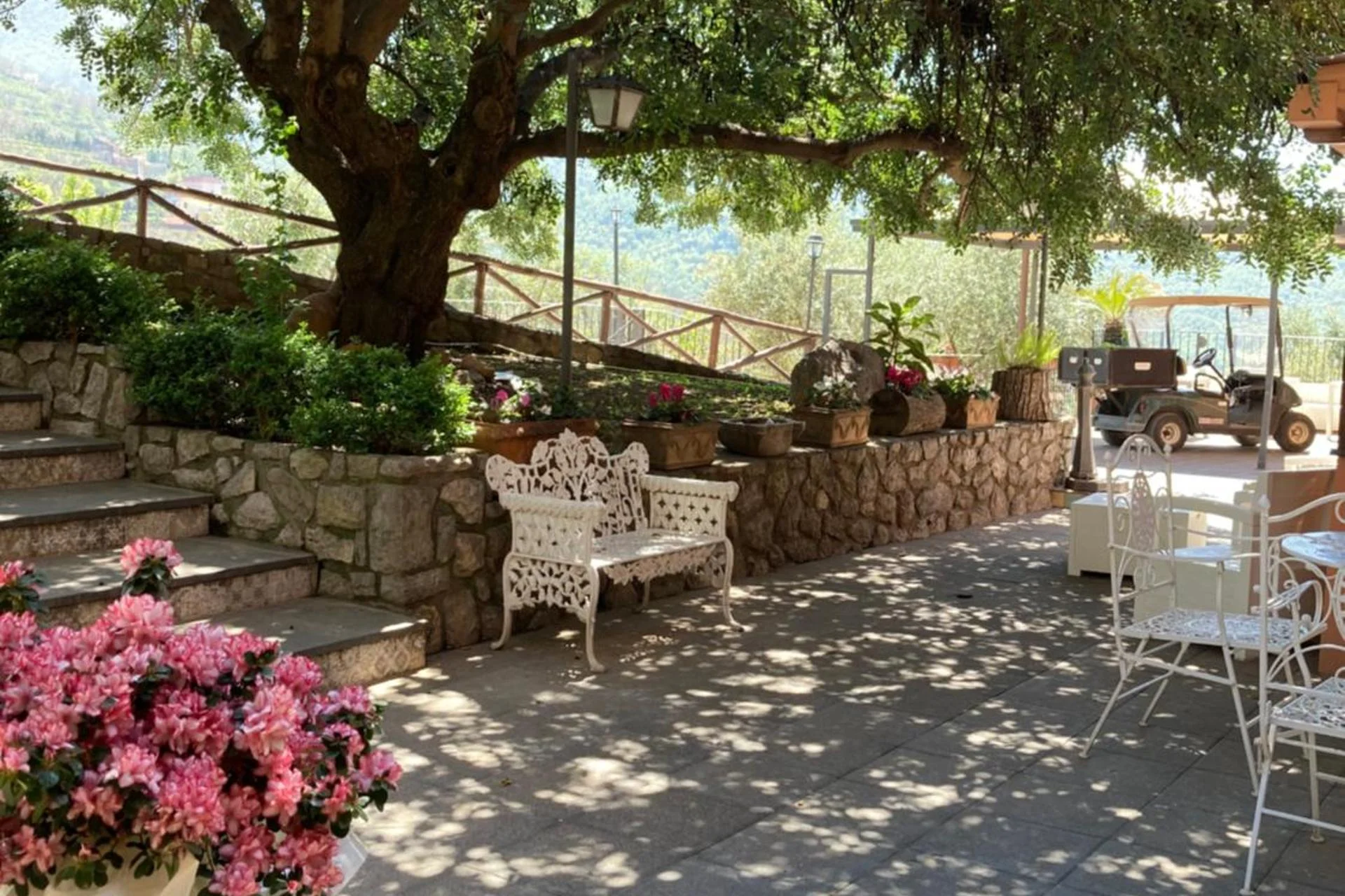 AgriTurismo Mono Noluigino - Image 16