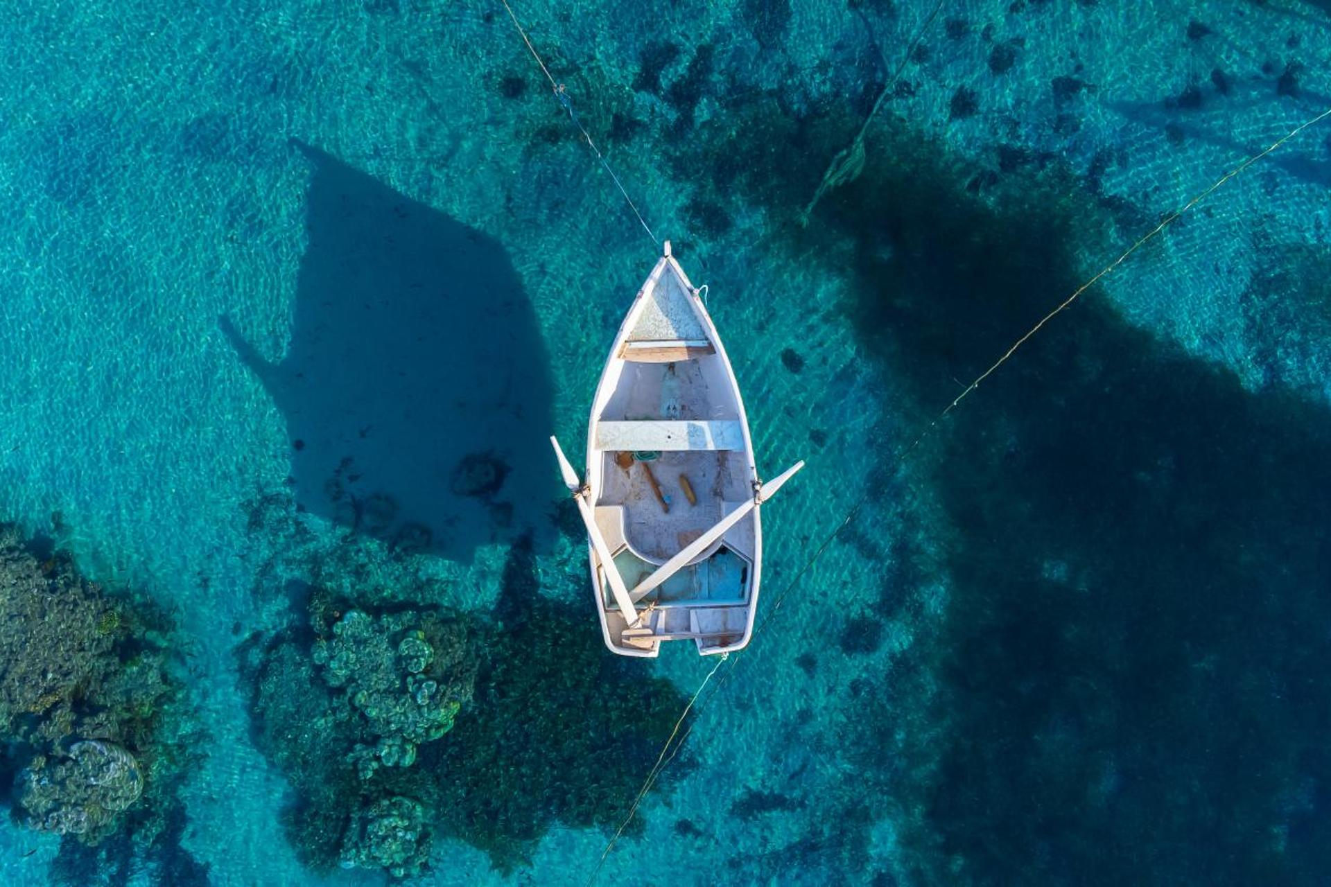 Albatros Beach Club - Image 8