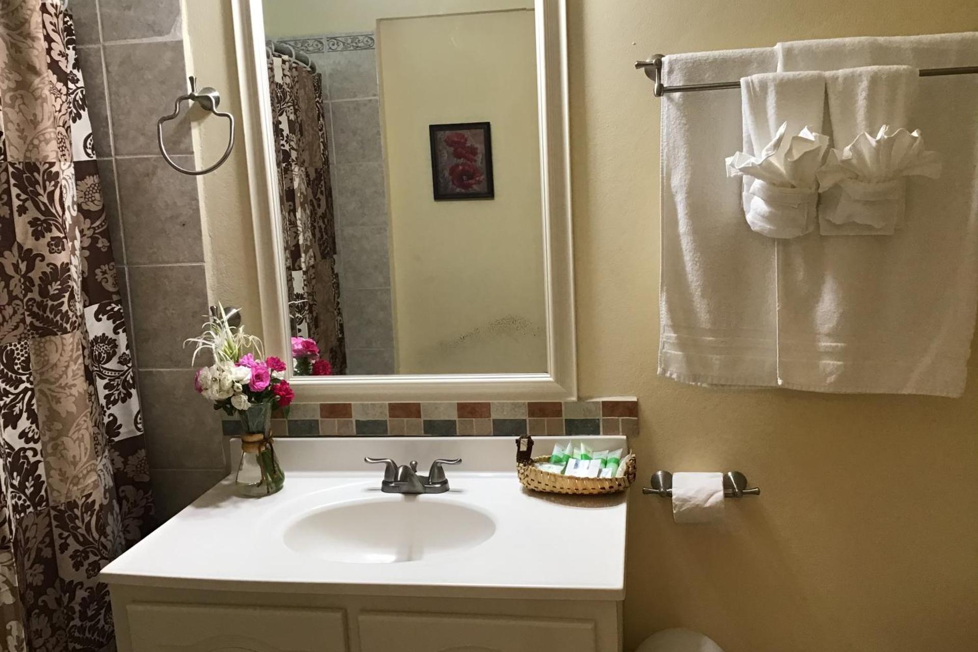 Aparthotel Antigua Seaview - Image 8