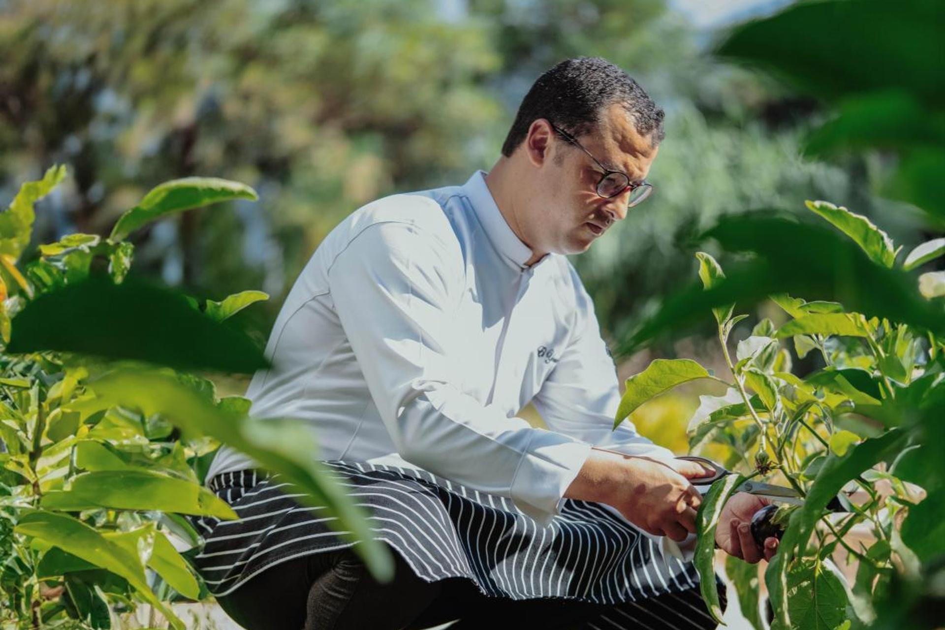 Banyan Tree Tamouda Bay - Image 20