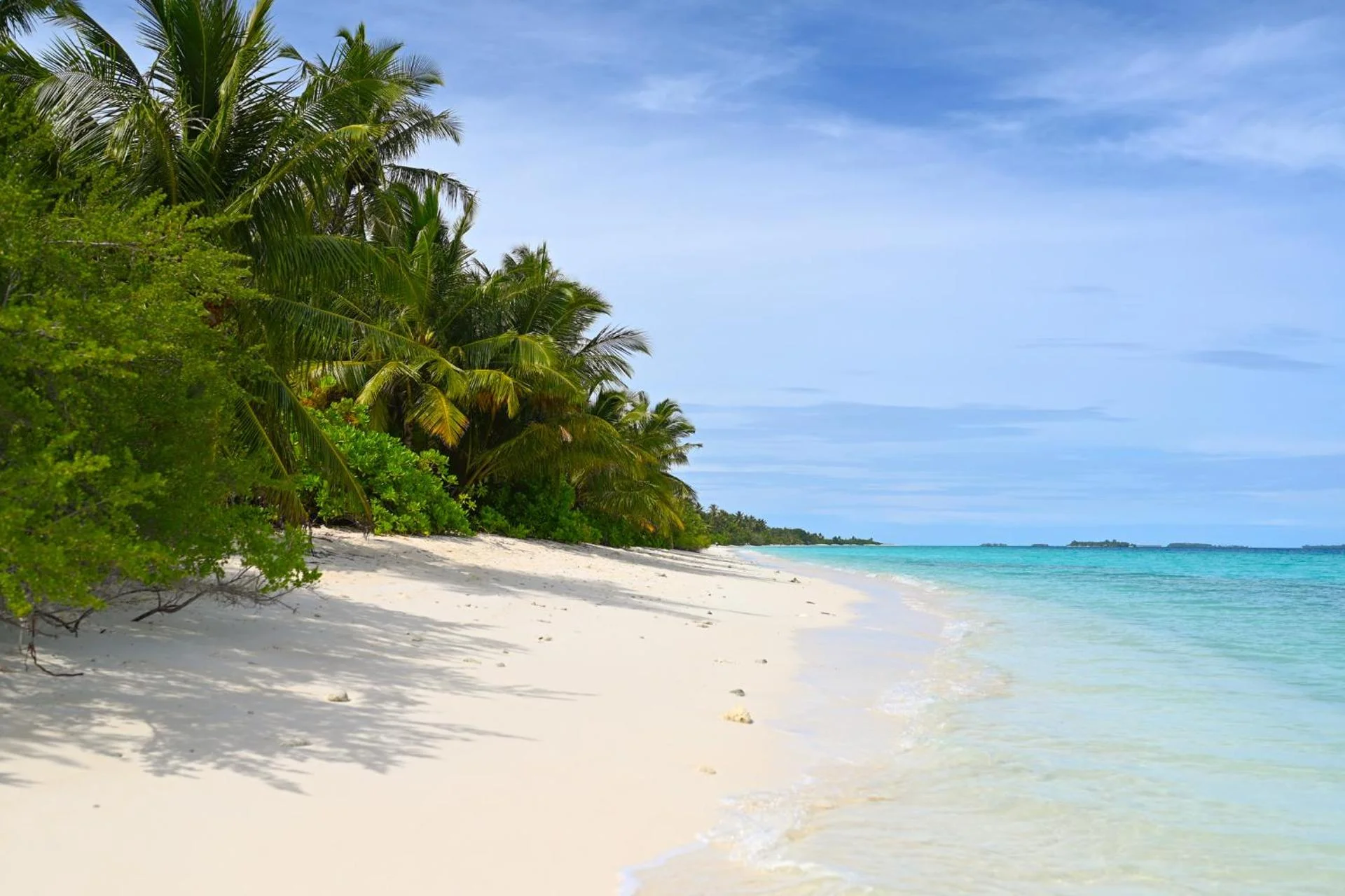 Boutique Beach All Inclusive Diving Hotel - Image 17