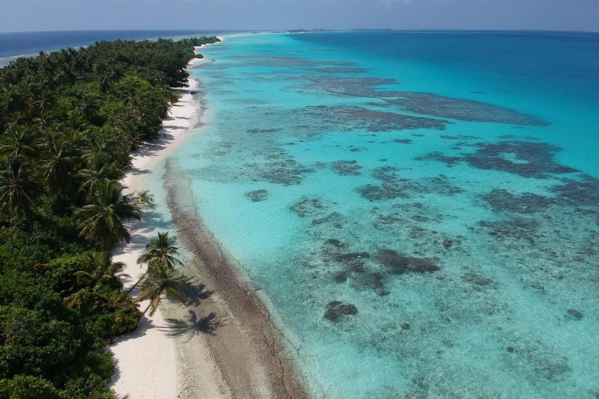 Boutique Beach All Inclusive Diving Hotel - Image 18