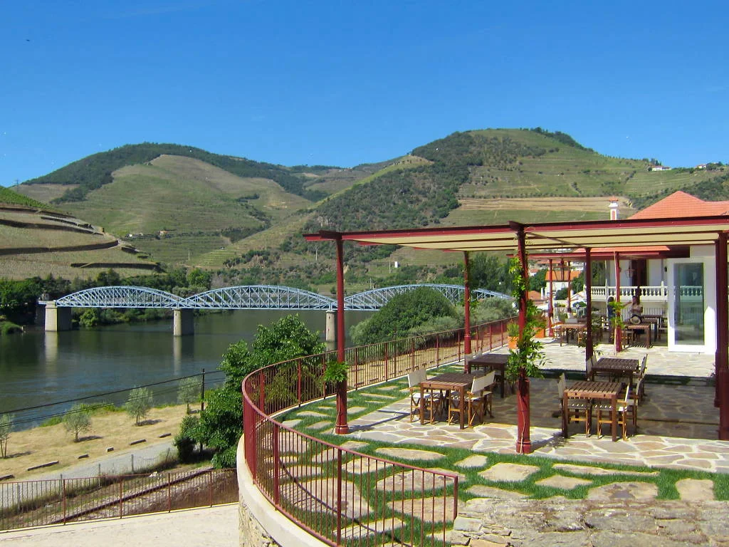 Cacho D'ouro - Image 5