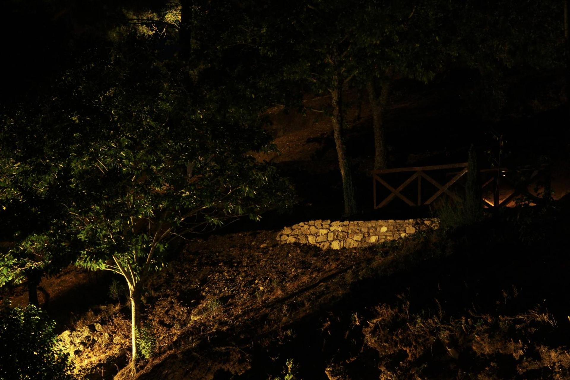 Descubra o Camping Lamego Douro Valley: Uma Experiência Inesquecível na Natureza - Imagem 52