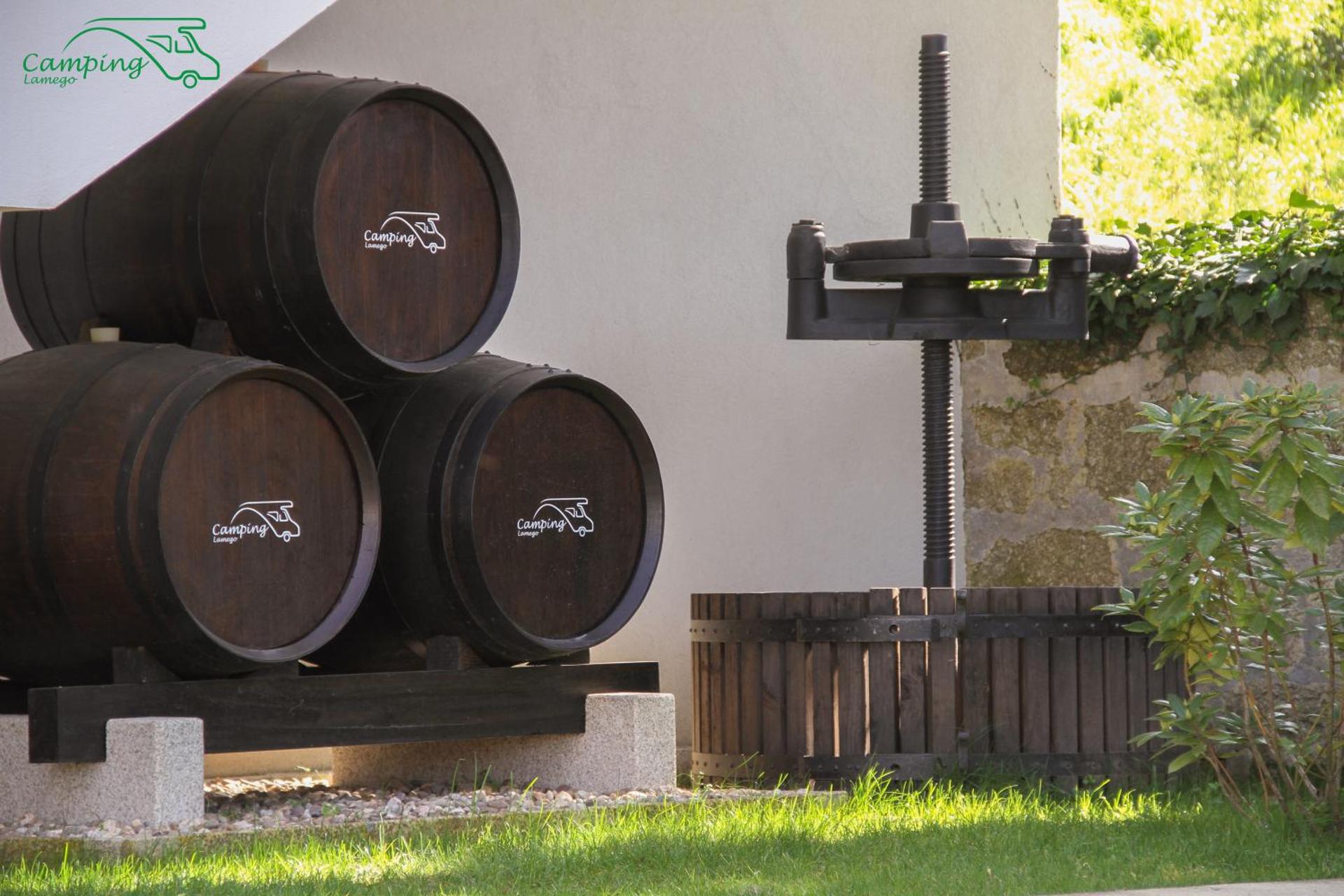 Descubra o Camping Lamego Douro Valley: Uma Experiência Inesquecível na Natureza - Imagem 65