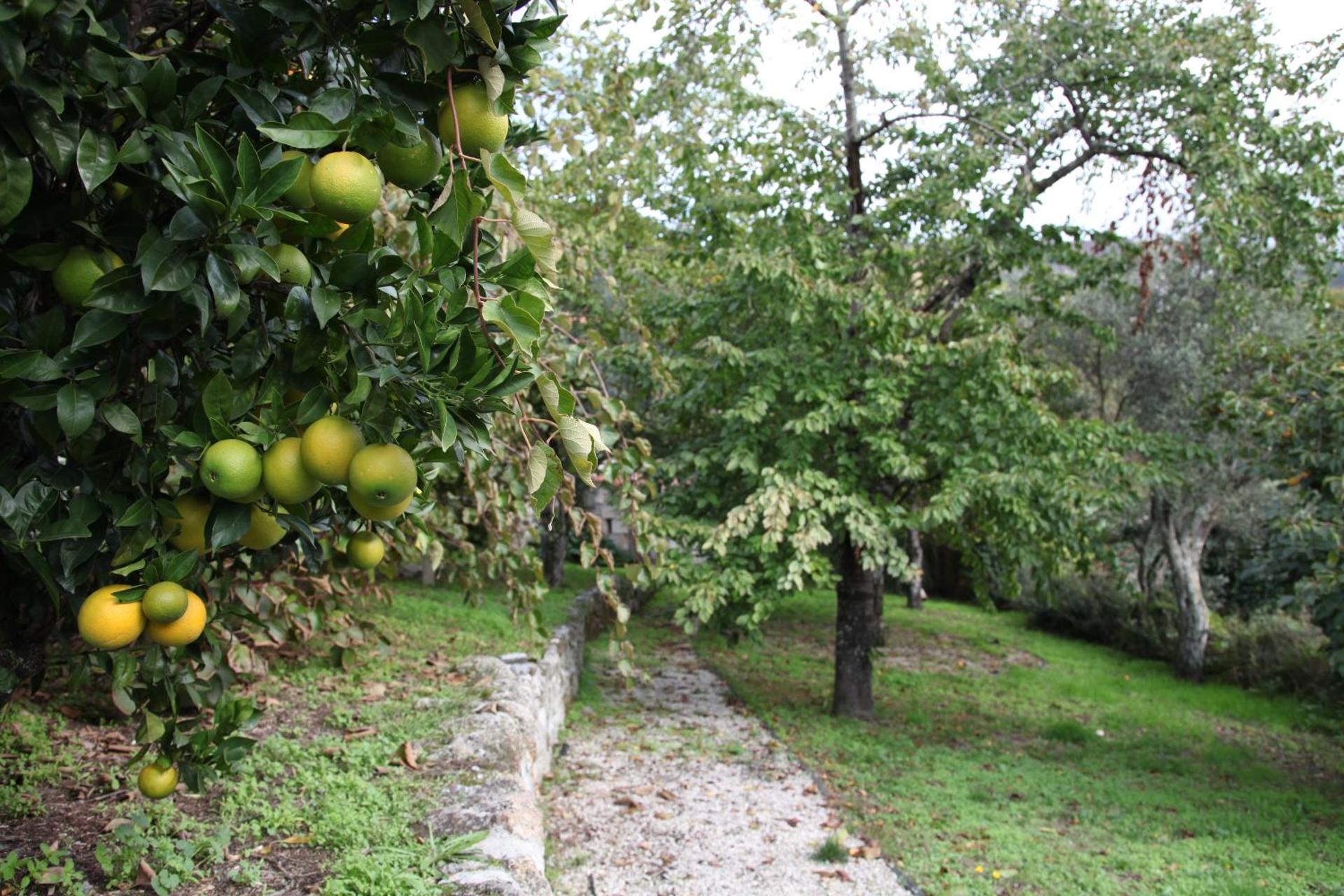 Descubra a Casa Cardoso: Um Refúgio de Conforto e Aconchego - Imagem 21