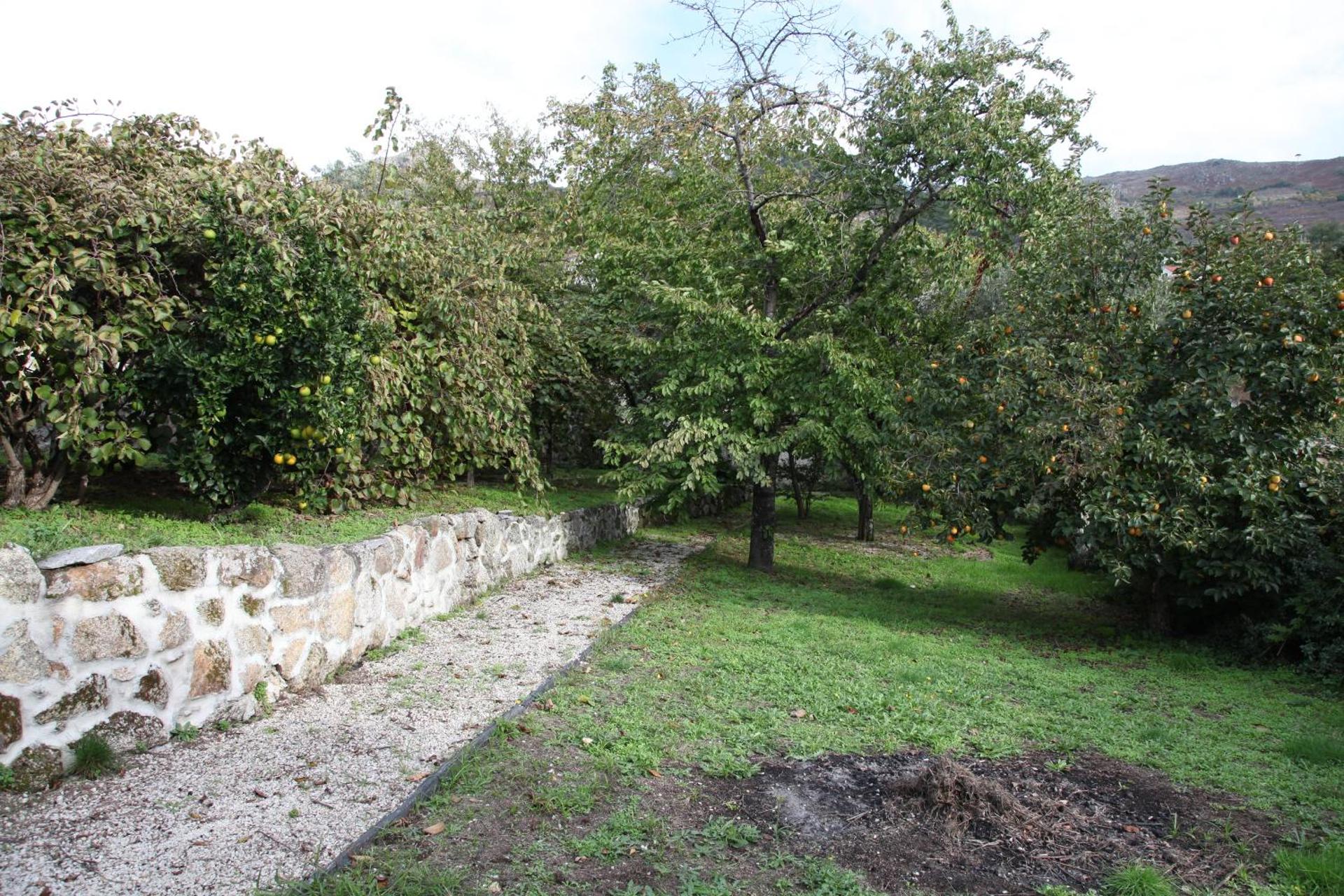 Descubra a Casa Cardoso: Um Refúgio de Conforto e Aconchego - Imagem 22