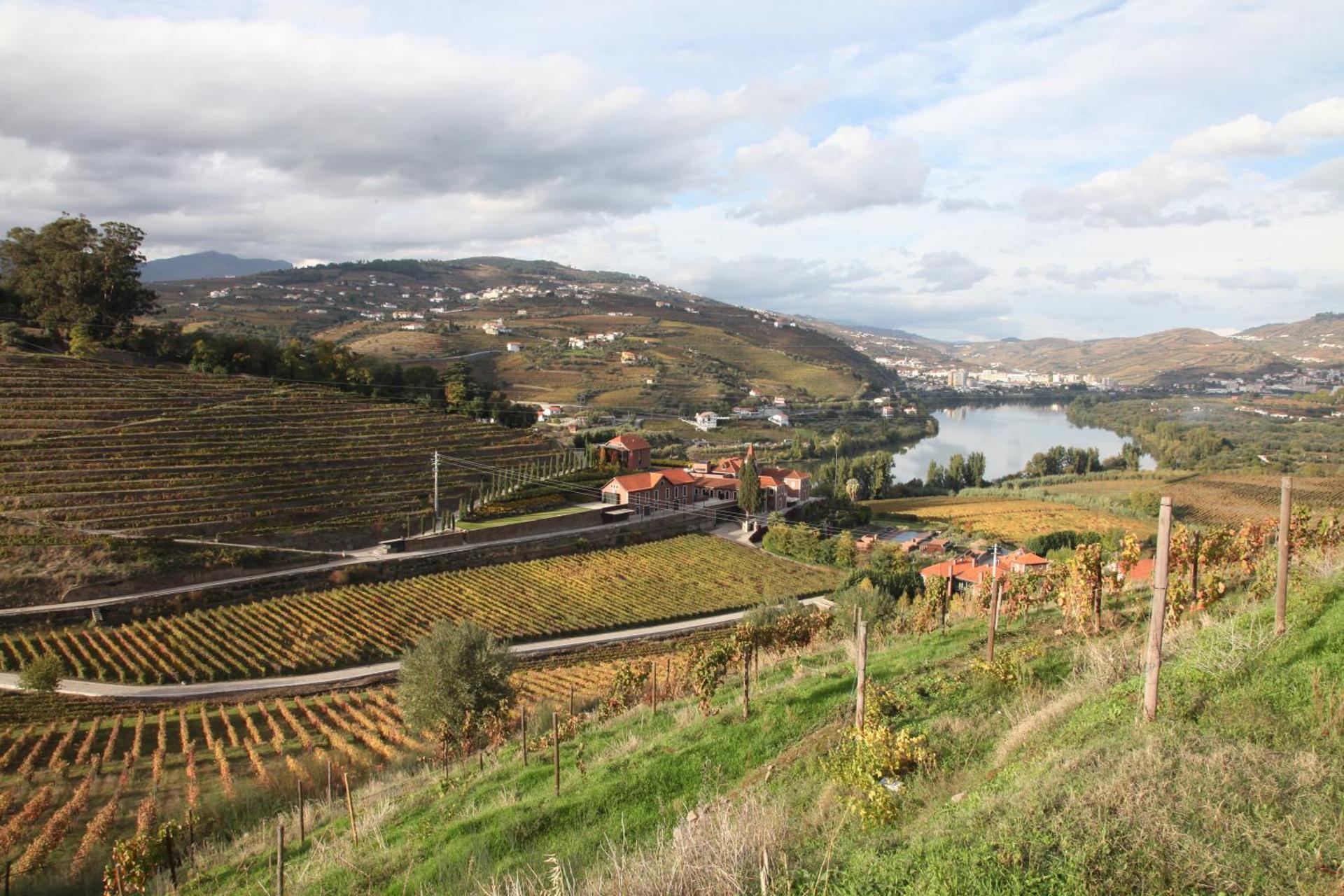 Descubra a Casa Cardoso: Um Refúgio de Conforto e Aconchego - Imagem 24