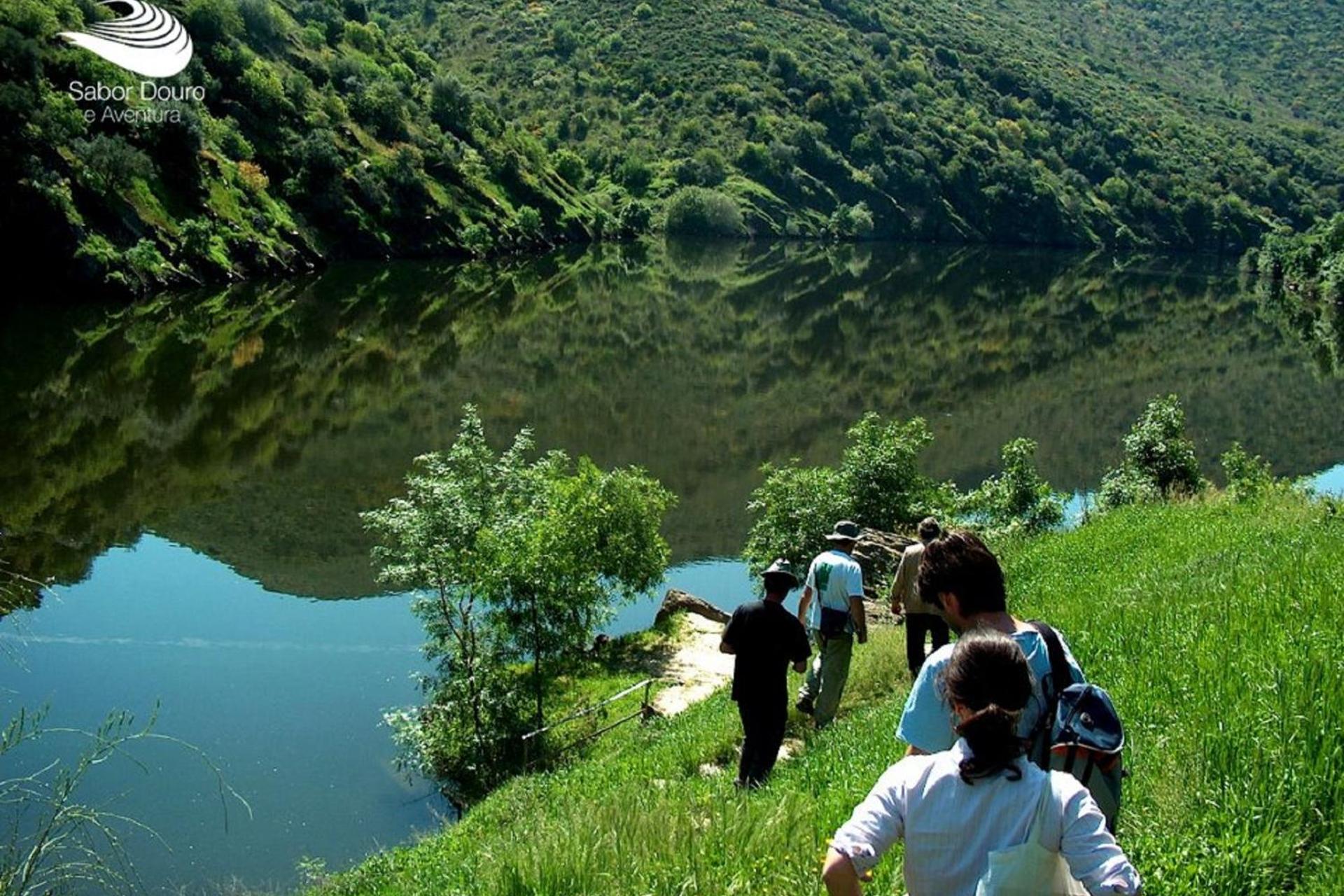 Descubra o Casa Da Avo - Turismo De Habitacao: O Refúgio Ideal para Todos - Imagem 53
