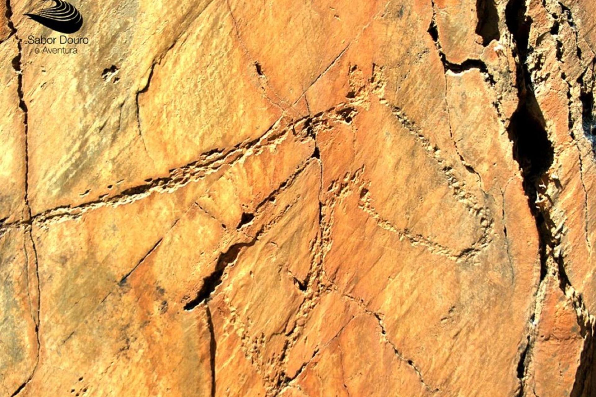 Descubra o Casa Da Avo - Turismo De Habitacao: O Refúgio Ideal para Todos - Imagem 54