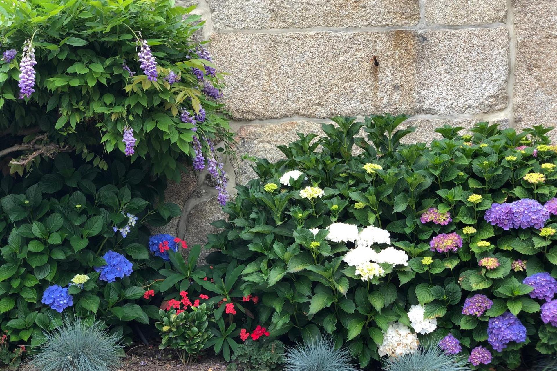 Descubra o Encanto da Casa da Ventozella: O Refúgio Perfeito para Todos - Imagem 22