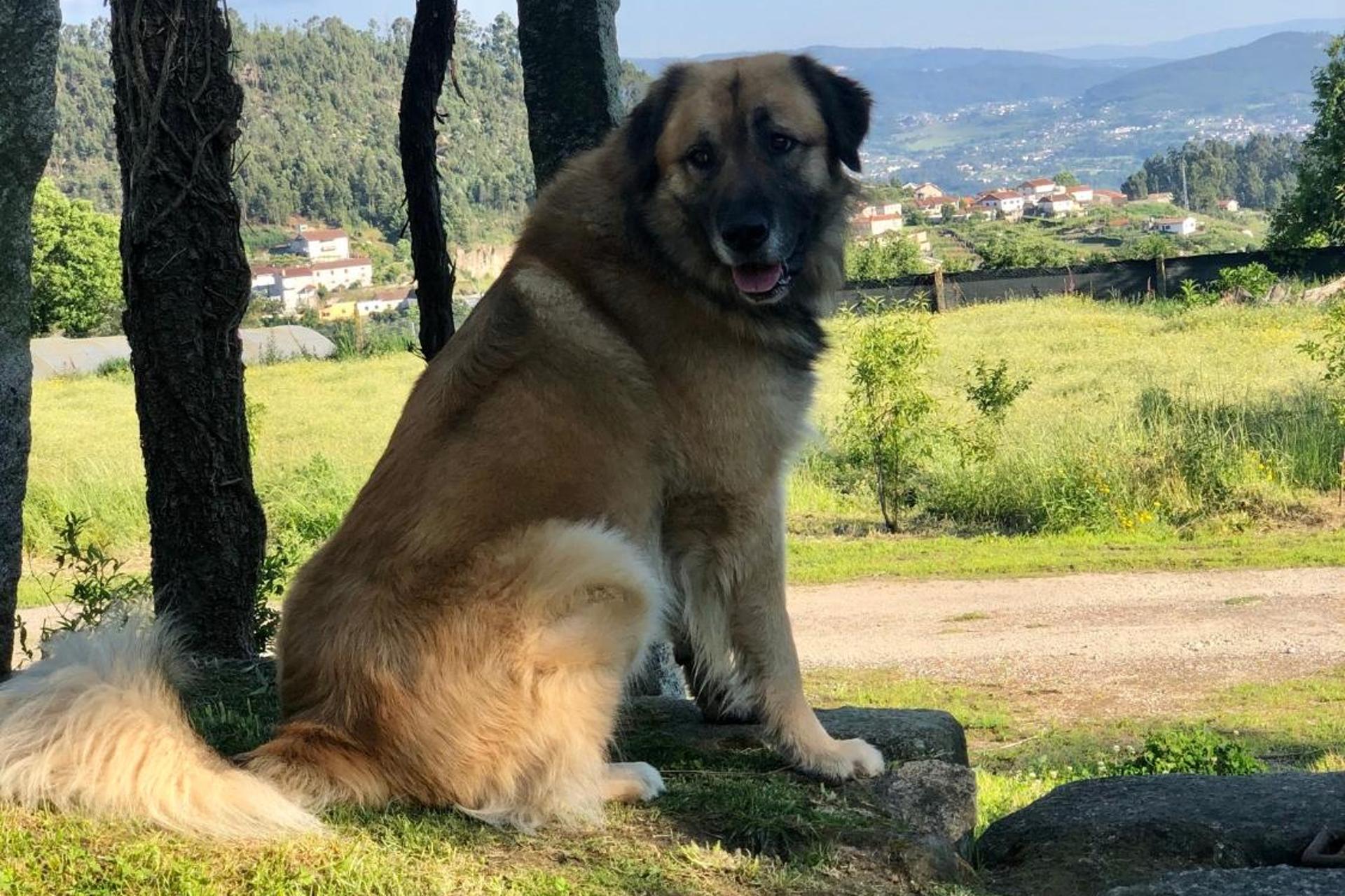 Descubra o Encanto da Casa da Ventozella: O Refúgio Perfeito para Todos - Imagem 27