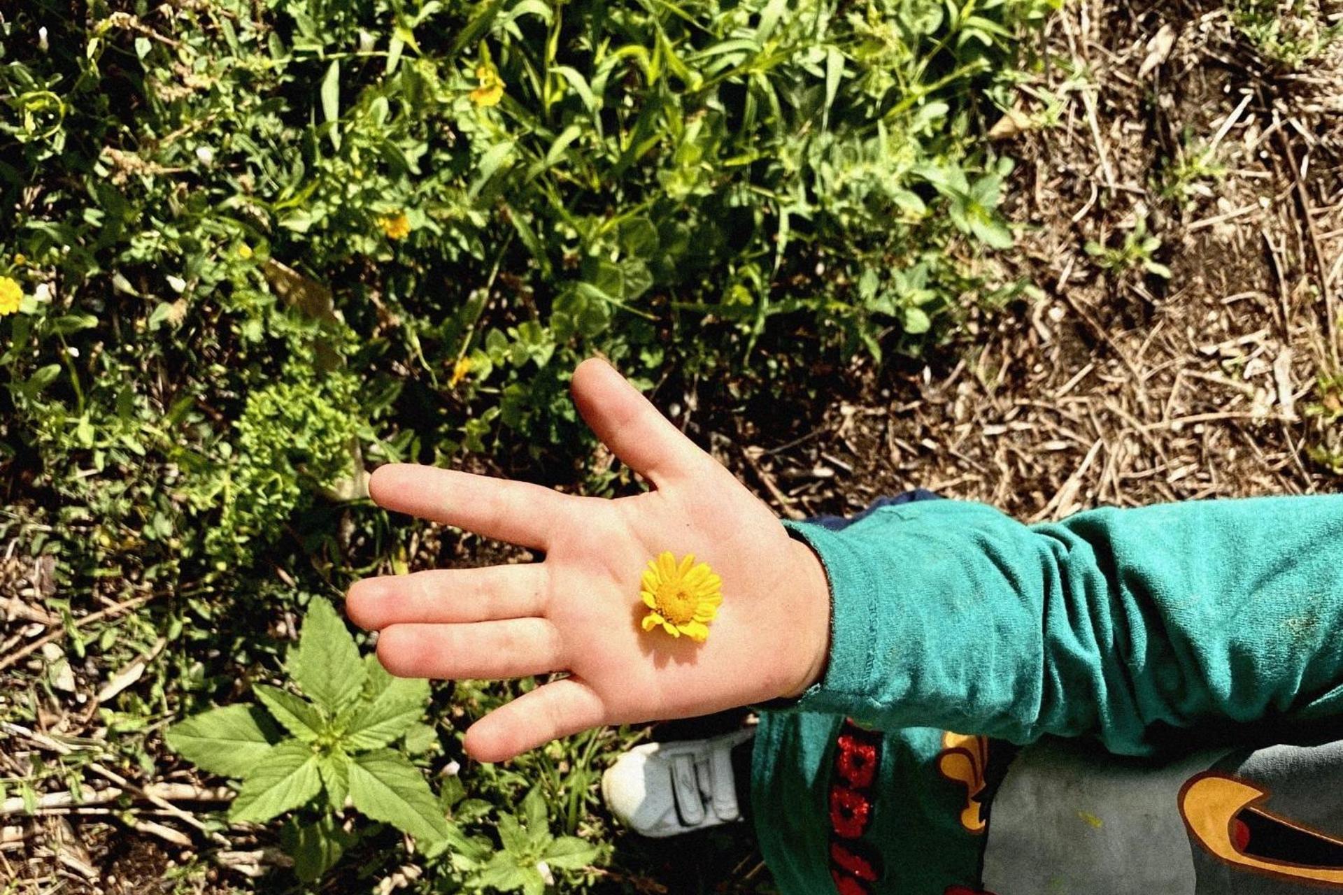 Descubra Casa das Laranjeiras: Seu Refúgio Ideal para Férias Inesquecíveis - Imagem 101