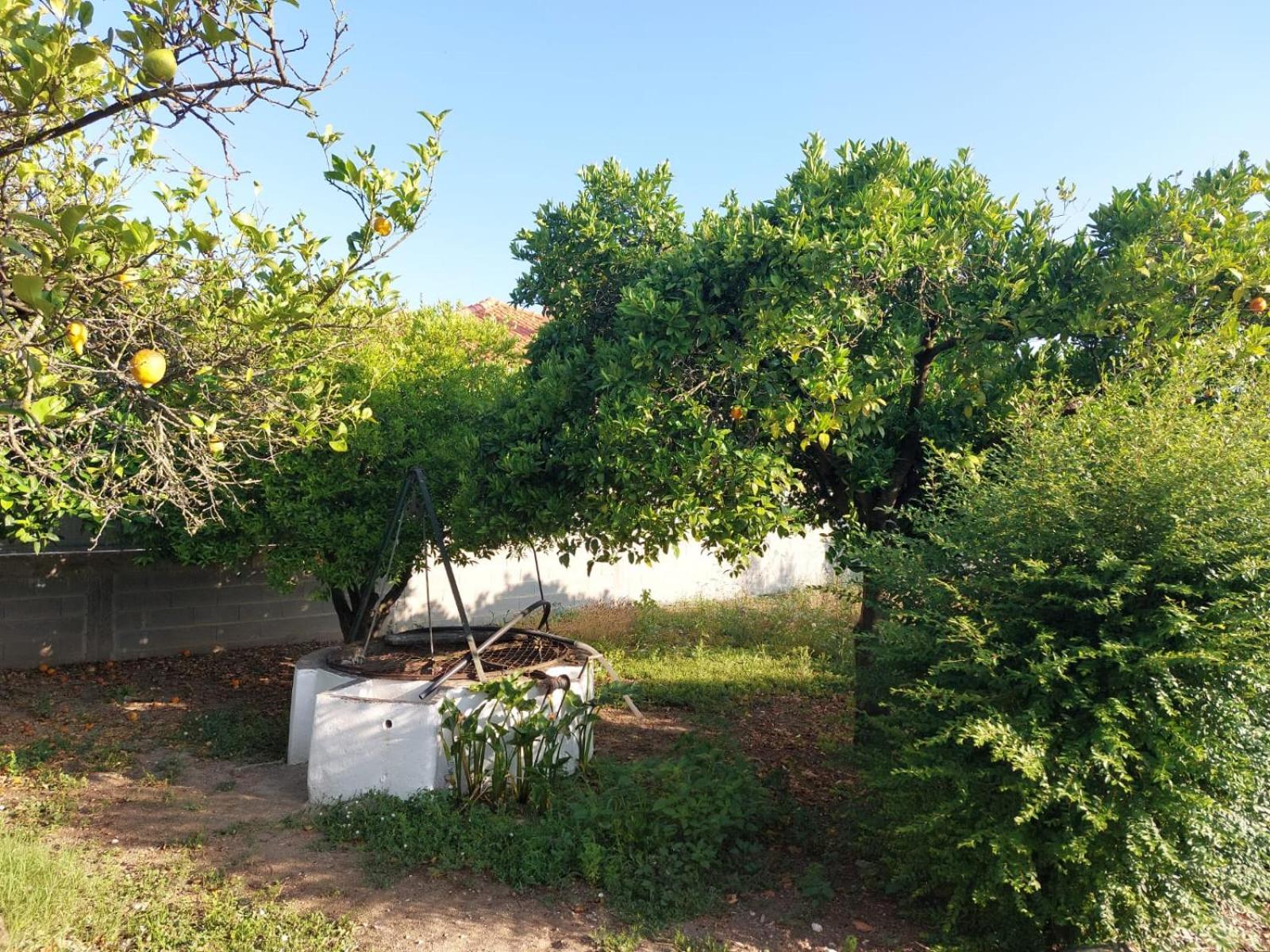 Descubra Casa das Laranjeiras: Seu Refúgio Ideal para Férias Inesquecíveis - Imagem 103