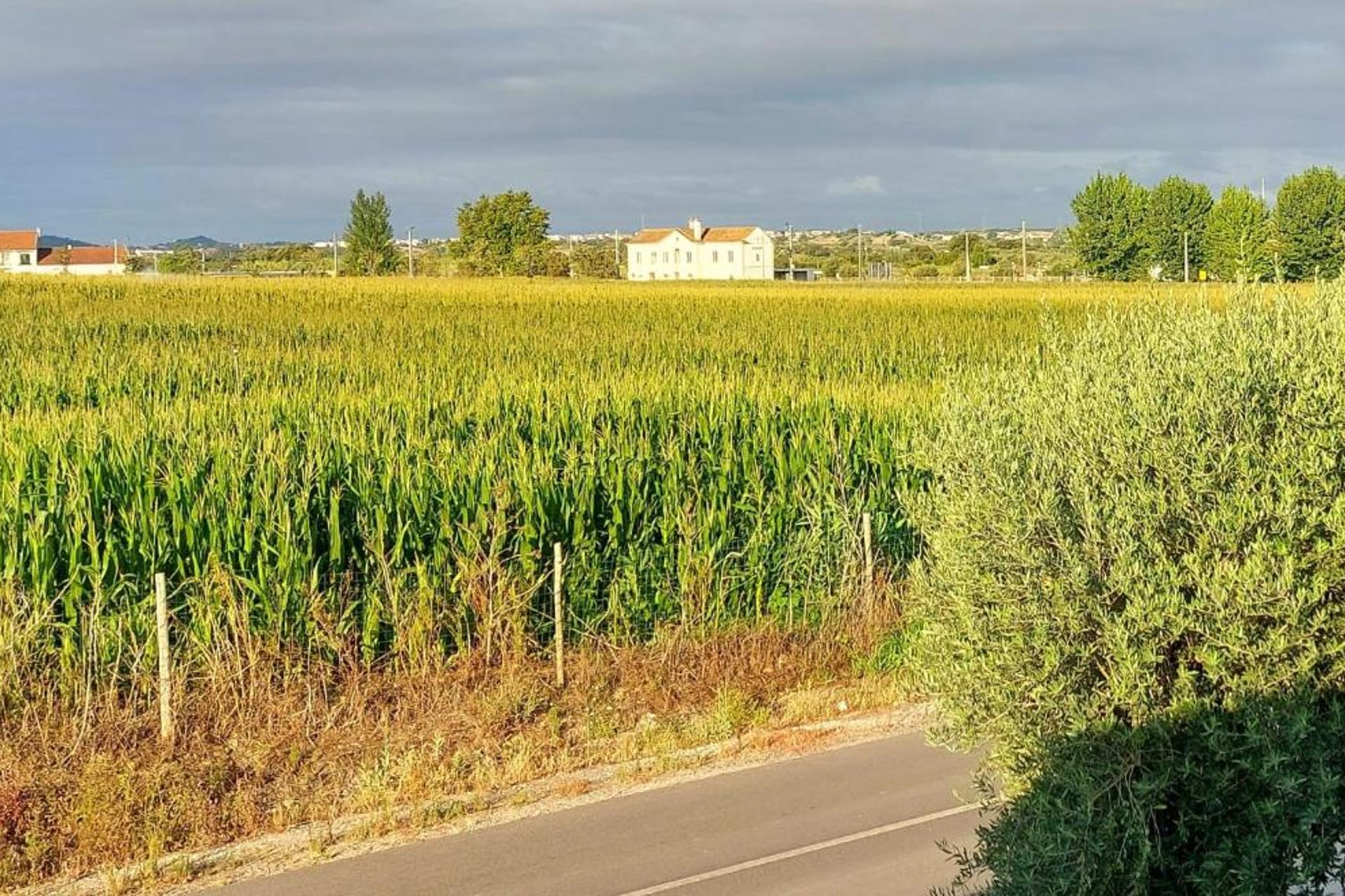 Descubra Casa das Laranjeiras: Seu Refúgio Ideal para Férias Inesquecíveis - Imagem 38