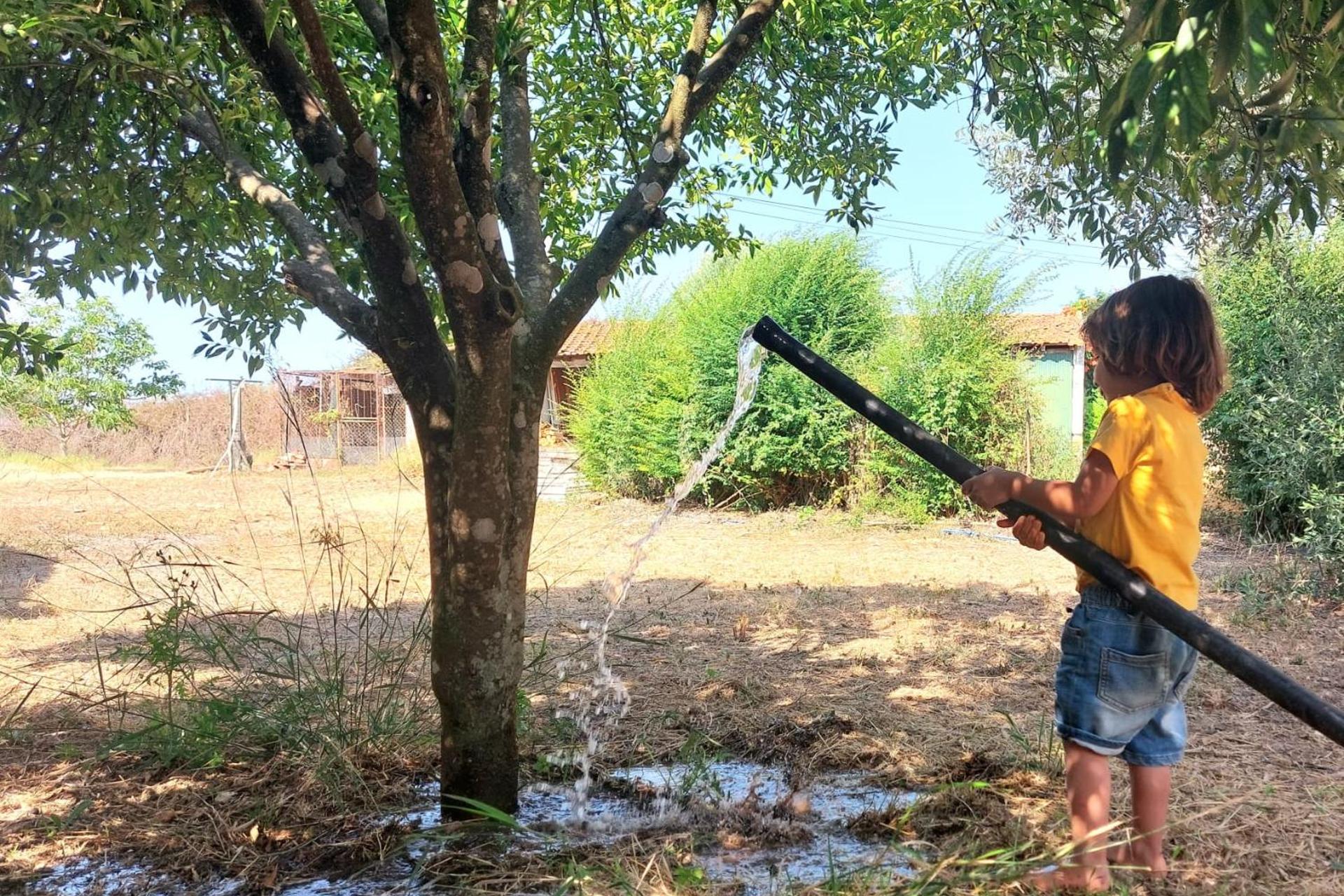 Descubra Casa das Laranjeiras: Seu Refúgio Ideal para Férias Inesquecíveis - Imagem 84