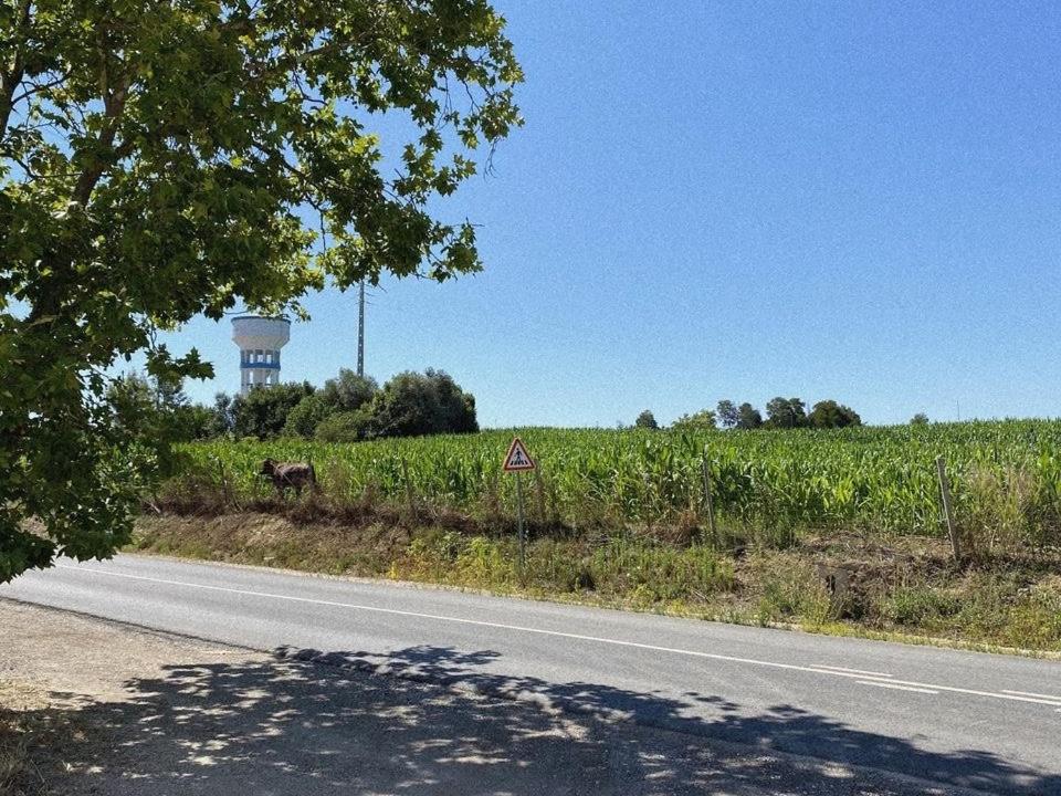 Descubra Casa das Laranjeiras: Seu Refúgio Ideal para Férias Inesquecíveis - Imagem 98