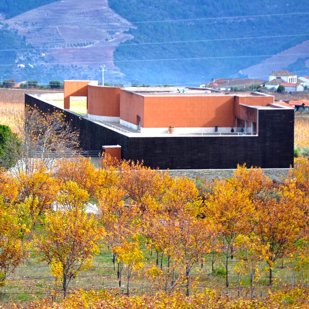 Descubra a Casa das Pipas / Quinta do Portal: Uma Experiência Incomparável - Imagem 20