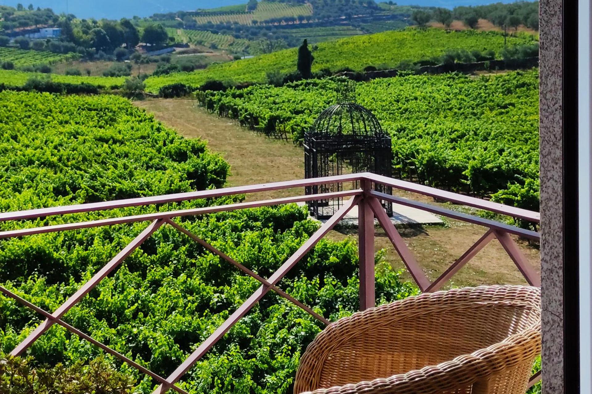 Descubra a Casa das Pipas / Quinta do Portal: Uma Experiência Incomparável - Imagem 26