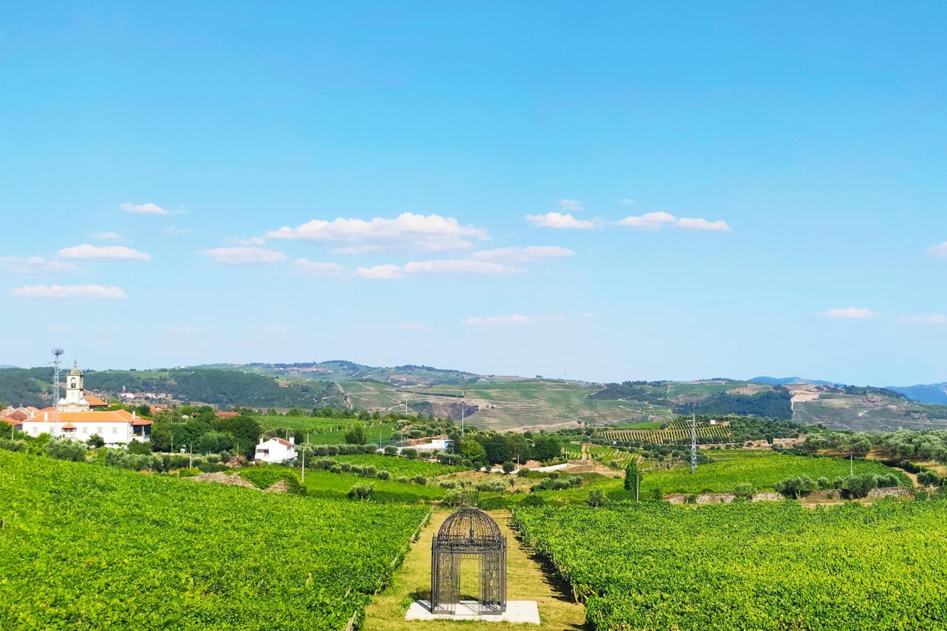 Descubra a Casa das Pipas / Quinta do Portal: Uma Experiência Incomparável - Imagem 27