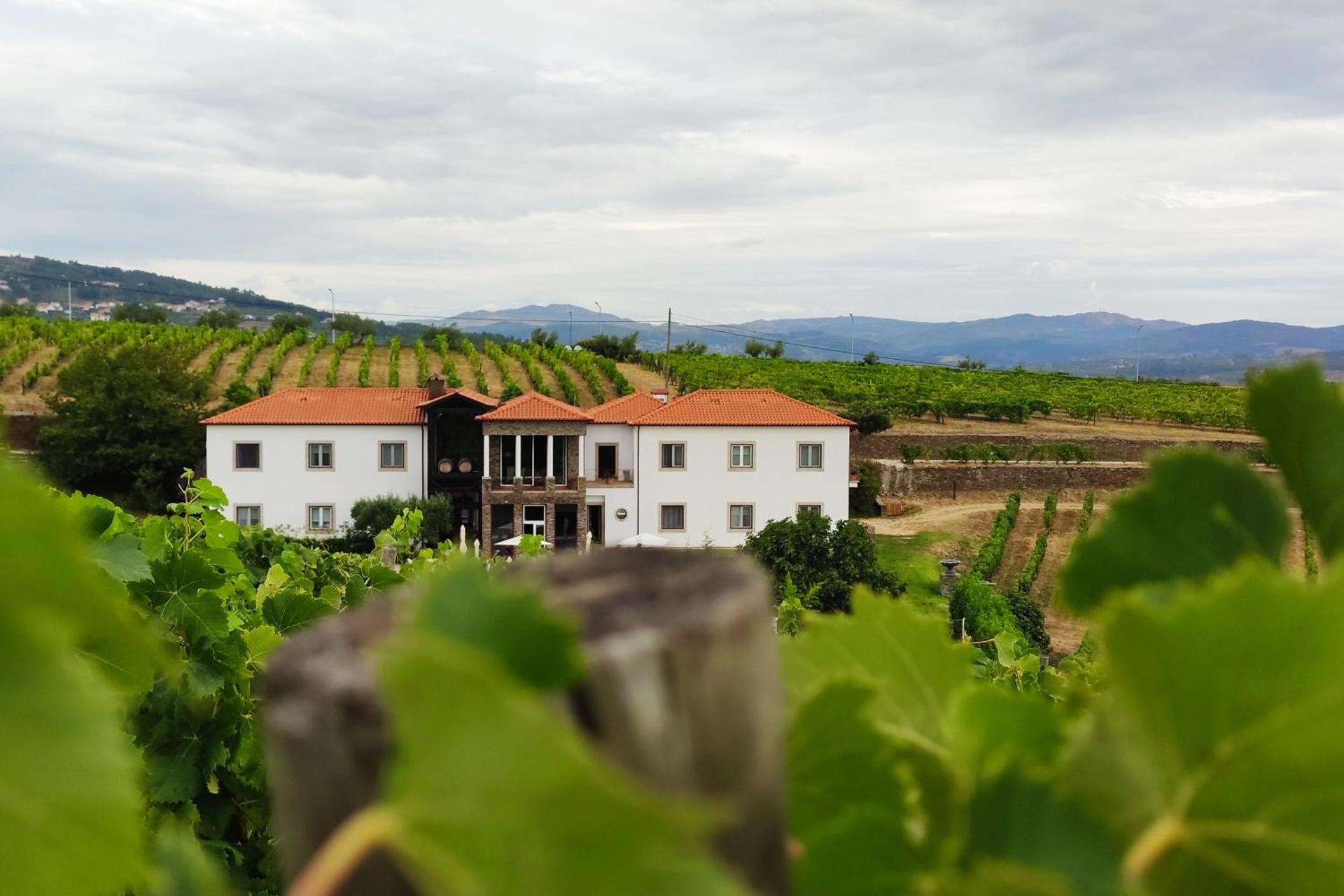 Descubra a Casa das Pipas / Quinta do Portal: Uma Experiência Incomparável - Imagem 33