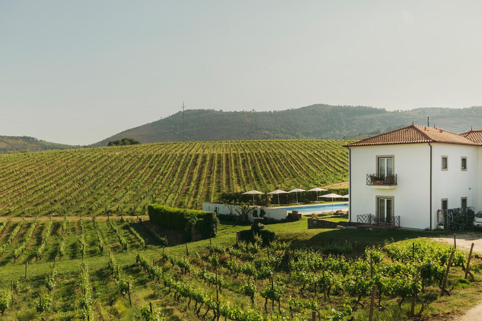 Descubra a Casa das Pipas / Quinta do Portal: Uma Experiência Incomparável - Imagem 6