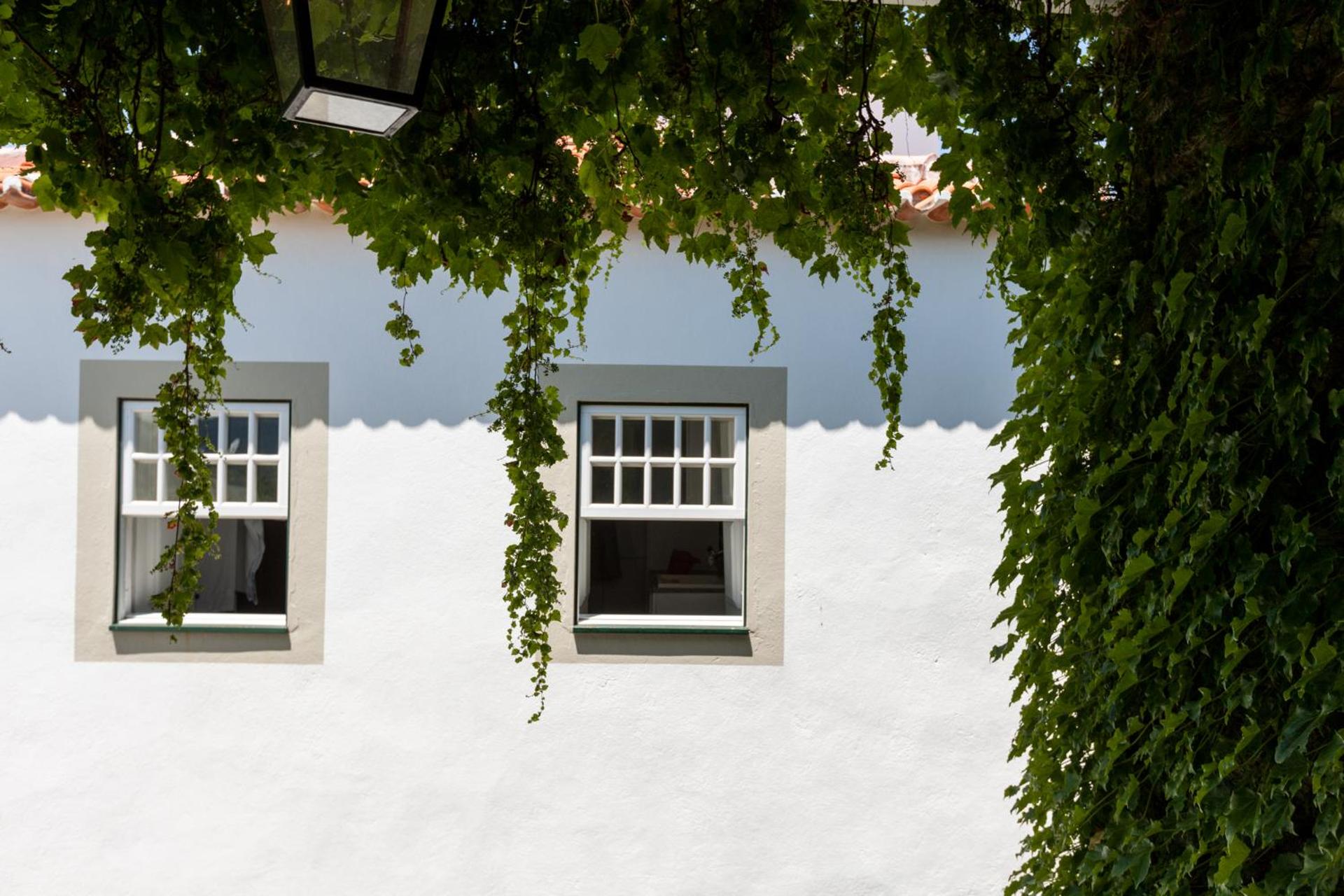 Descubra Casa De Casal De Loivos: O Refúgio Perfeito para Todos - Imagem 18