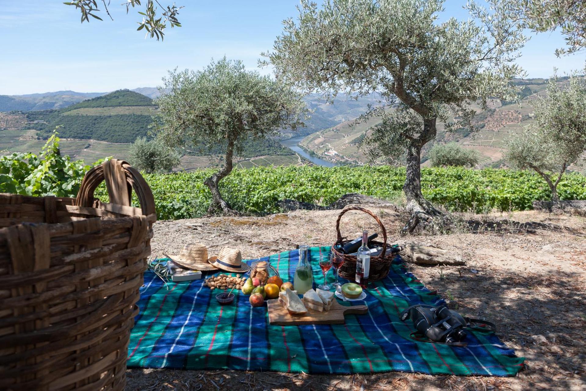 Descubra Casa De Casal De Loivos: O Refúgio Perfeito para Todos - Imagem 37