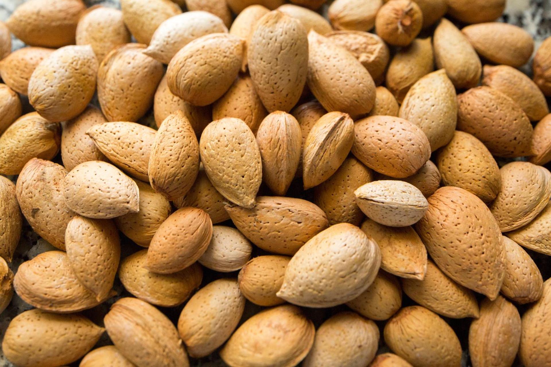 Descubra Casa De Casal De Loivos: O Refúgio Perfeito para Todos - Imagem 40