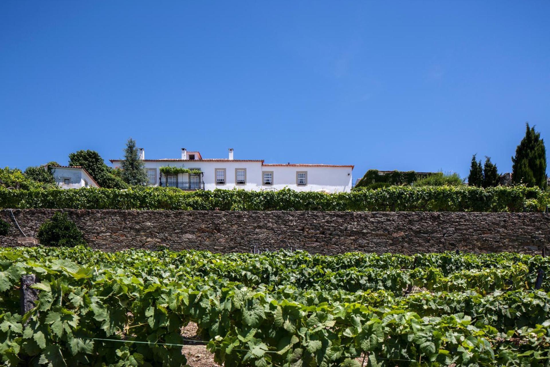 Descubra Casa De Casal De Loivos: O Refúgio Perfeito para Todos - Imagem 49
