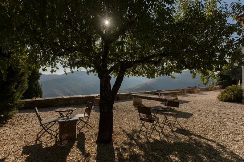 Descubra Casa De Casal De Loivos: O Refúgio Perfeito para Todos - Imagem 50