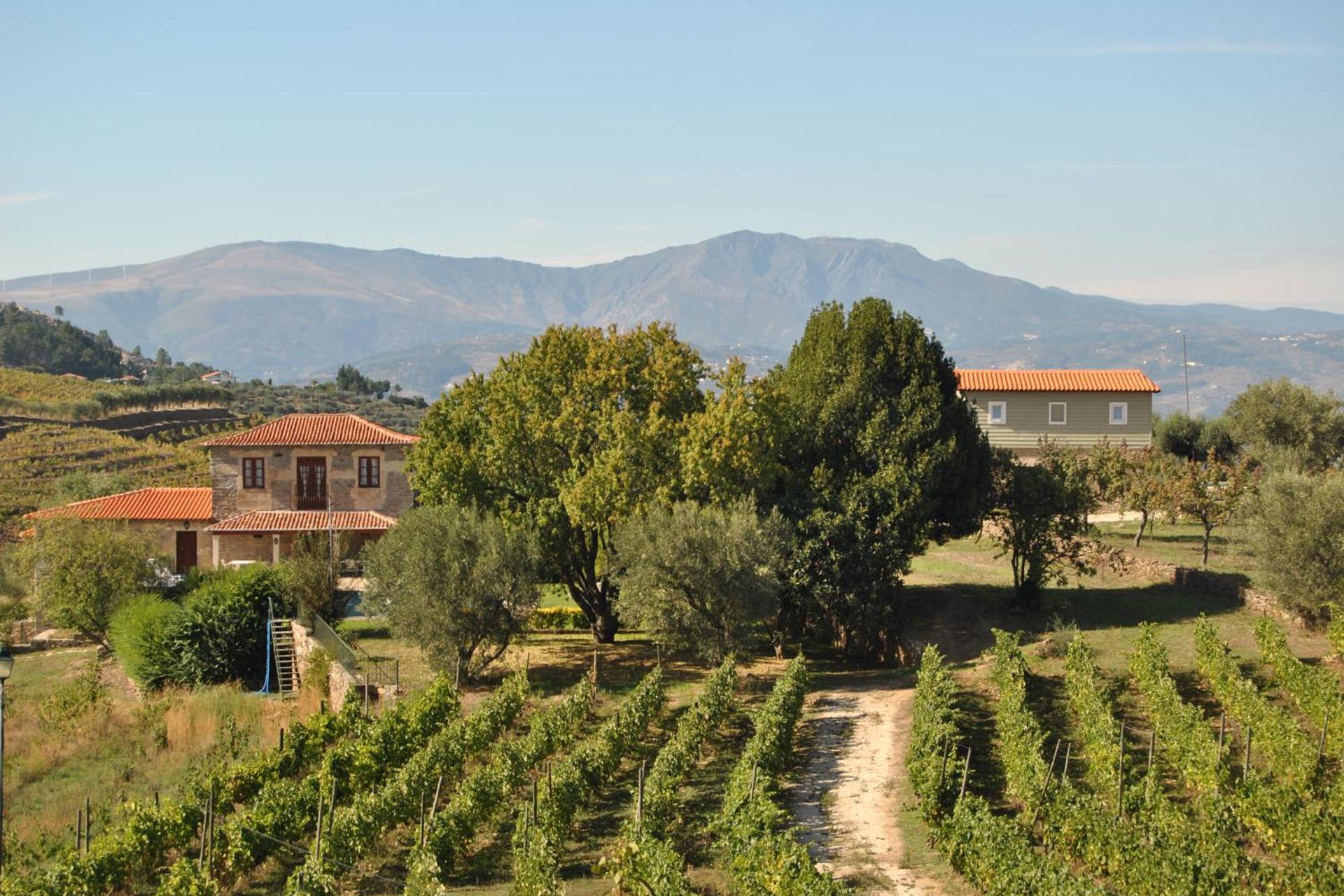 Descubra a Casa de São Miguel Douro: Um Refúgio de Conforto e Tradição - Imagem 20