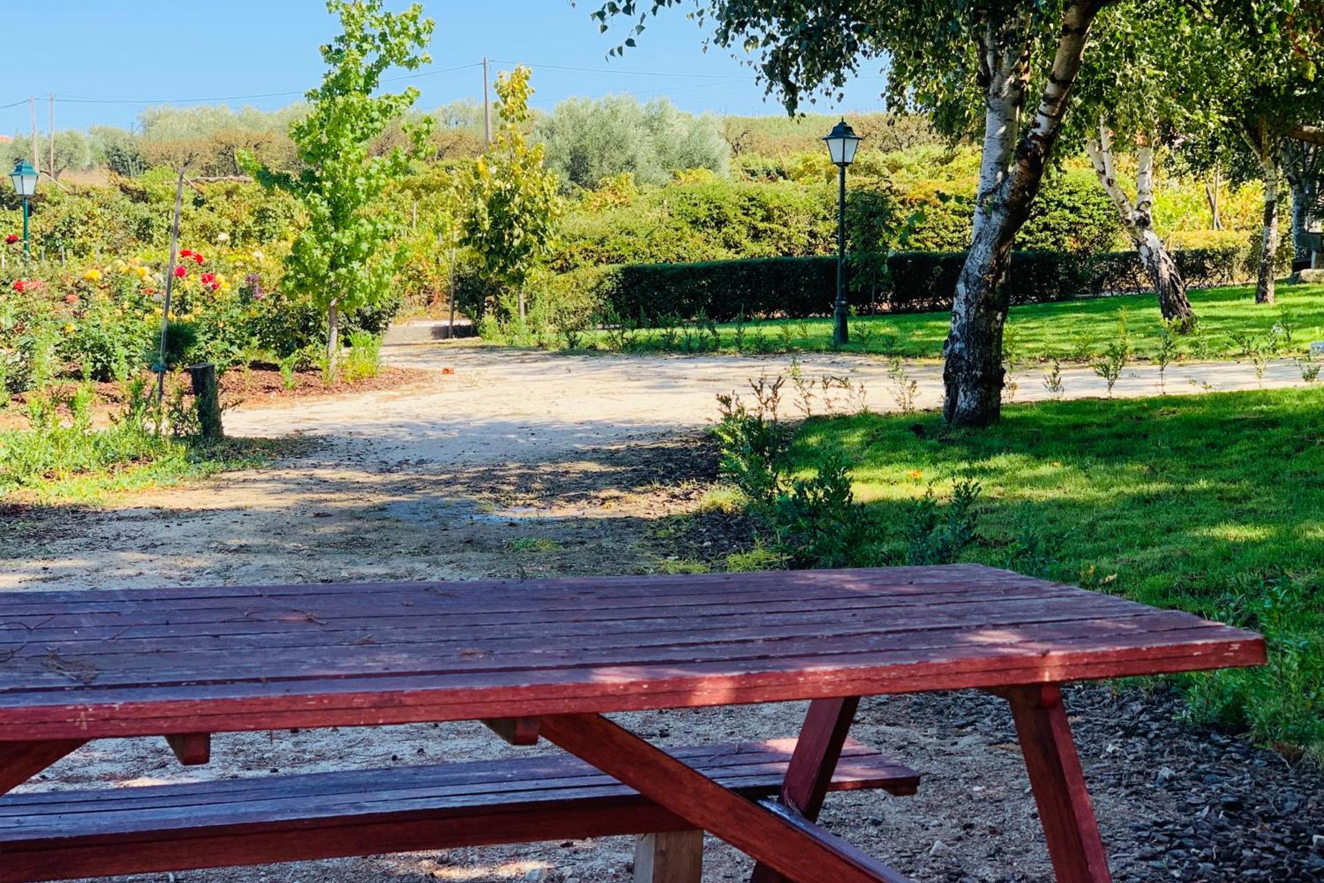 Descubra a Casa de São Miguel Douro: Um Refúgio de Conforto e Tradição - Imagem 28