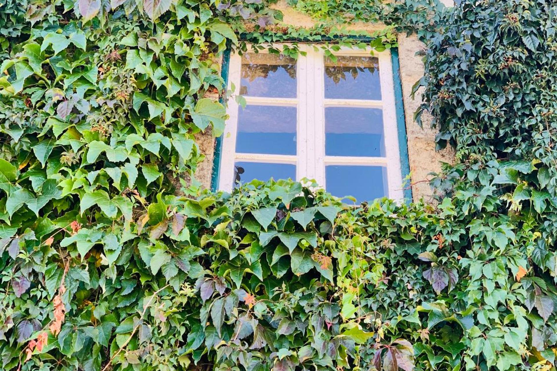 Descubra a Casa de São Miguel Douro: Um Refúgio de Conforto e Tradição - Imagem 29