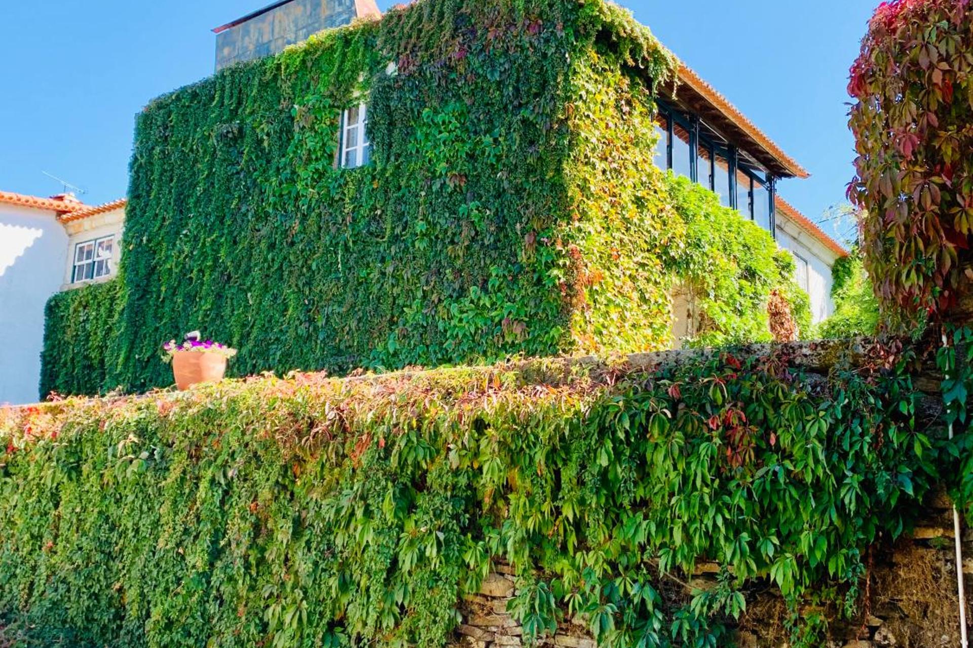 Descubra a Casa de São Miguel Douro: Um Refúgio de Conforto e Tradição - Imagem 33