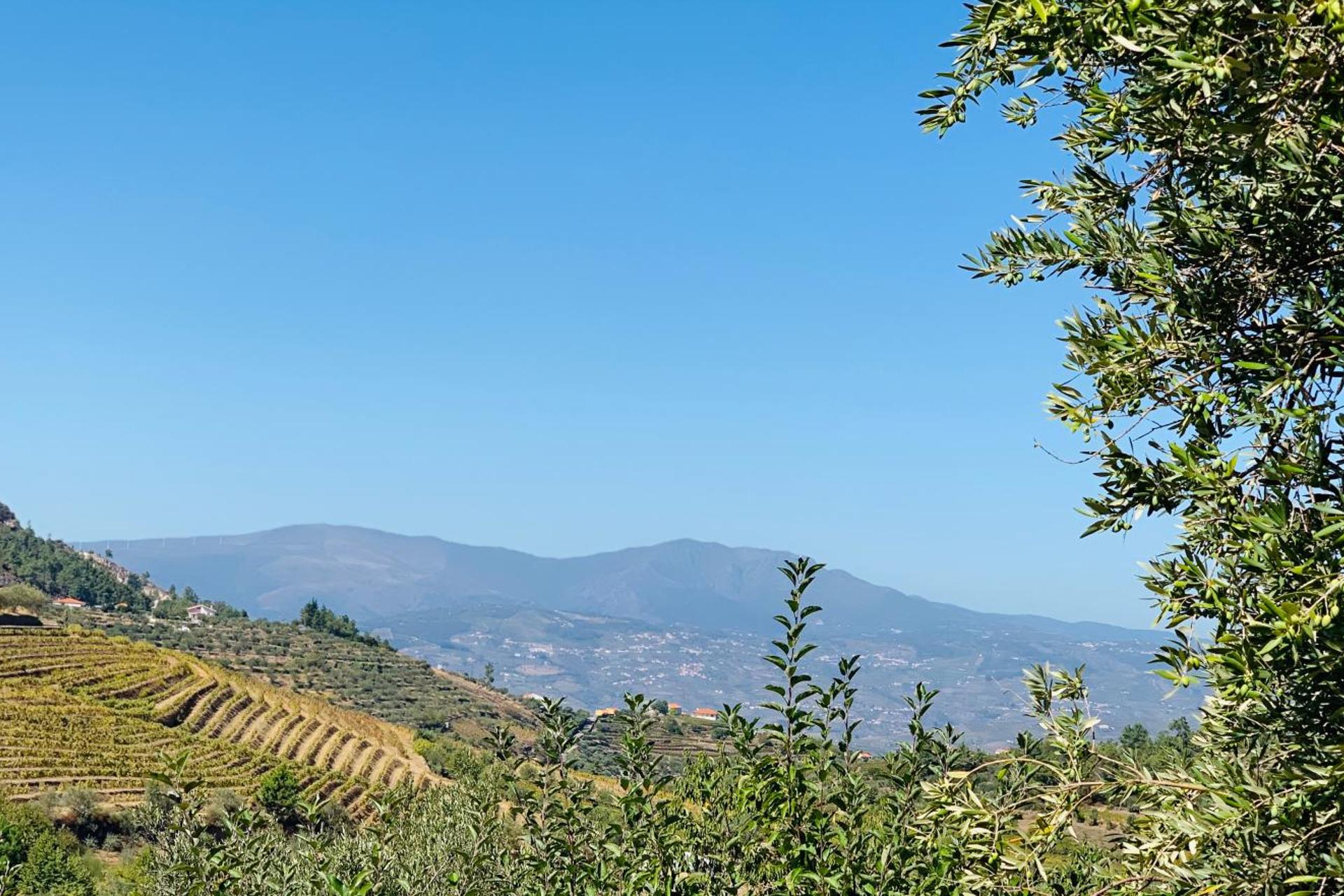 Descubra a Casa de São Miguel Douro: Um Refúgio de Conforto e Tradição - Imagem 35