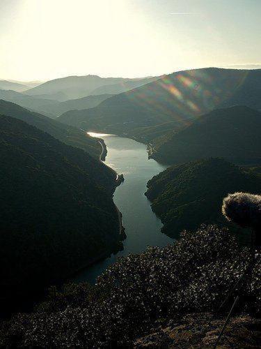 Descubra Casa do Brasão: A Jóia da Hospitalidade - Imagem 51