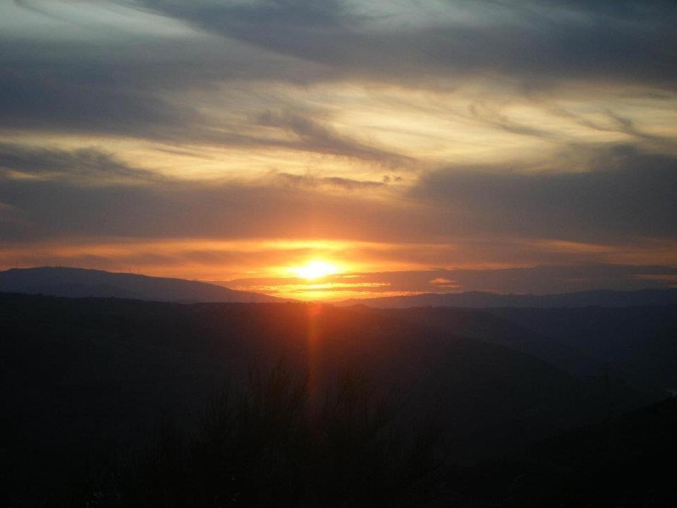 Descubra Casa do Brasão: A Jóia da Hospitalidade - Imagem 53