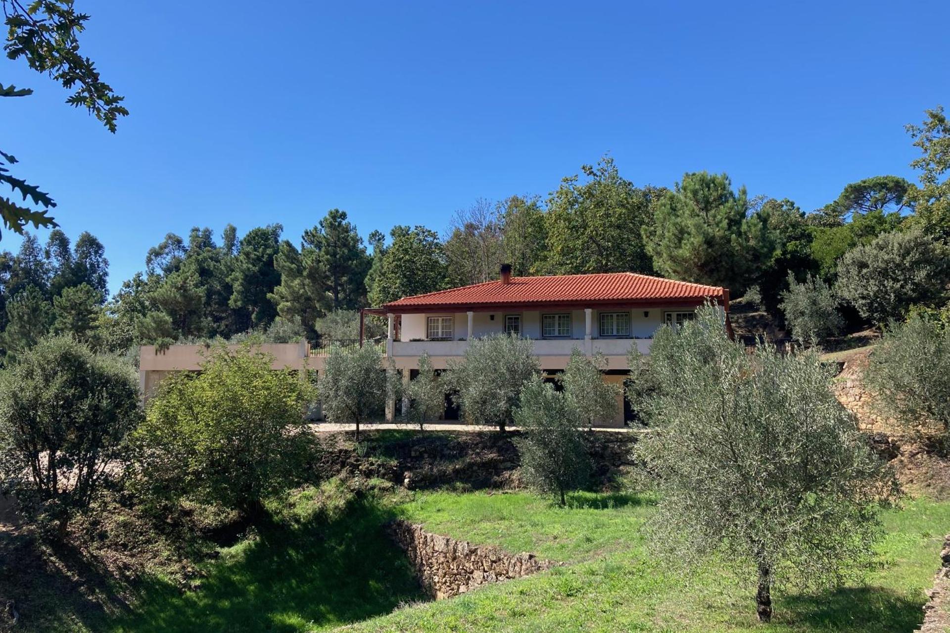 Descubra a Casa do Espadanal: Um Refúgio de Conforto e Tradição - Imagem 73