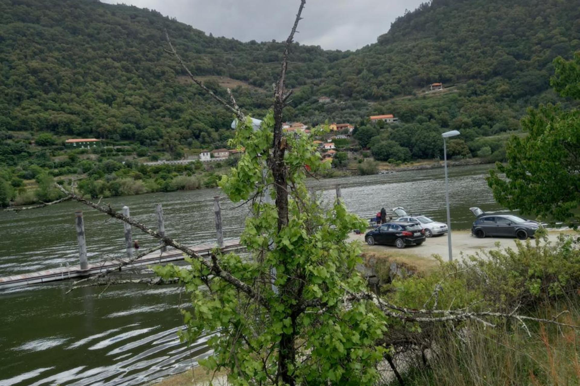 Descubra o Encanto da Casa do Moinho: Sua Próxima Parada de Férias - Imagem 11