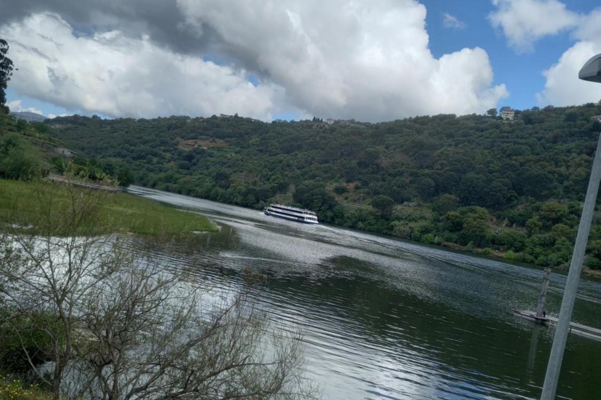 Descubra o Encanto da Casa do Moinho: Sua Próxima Parada de Férias - Imagem 61