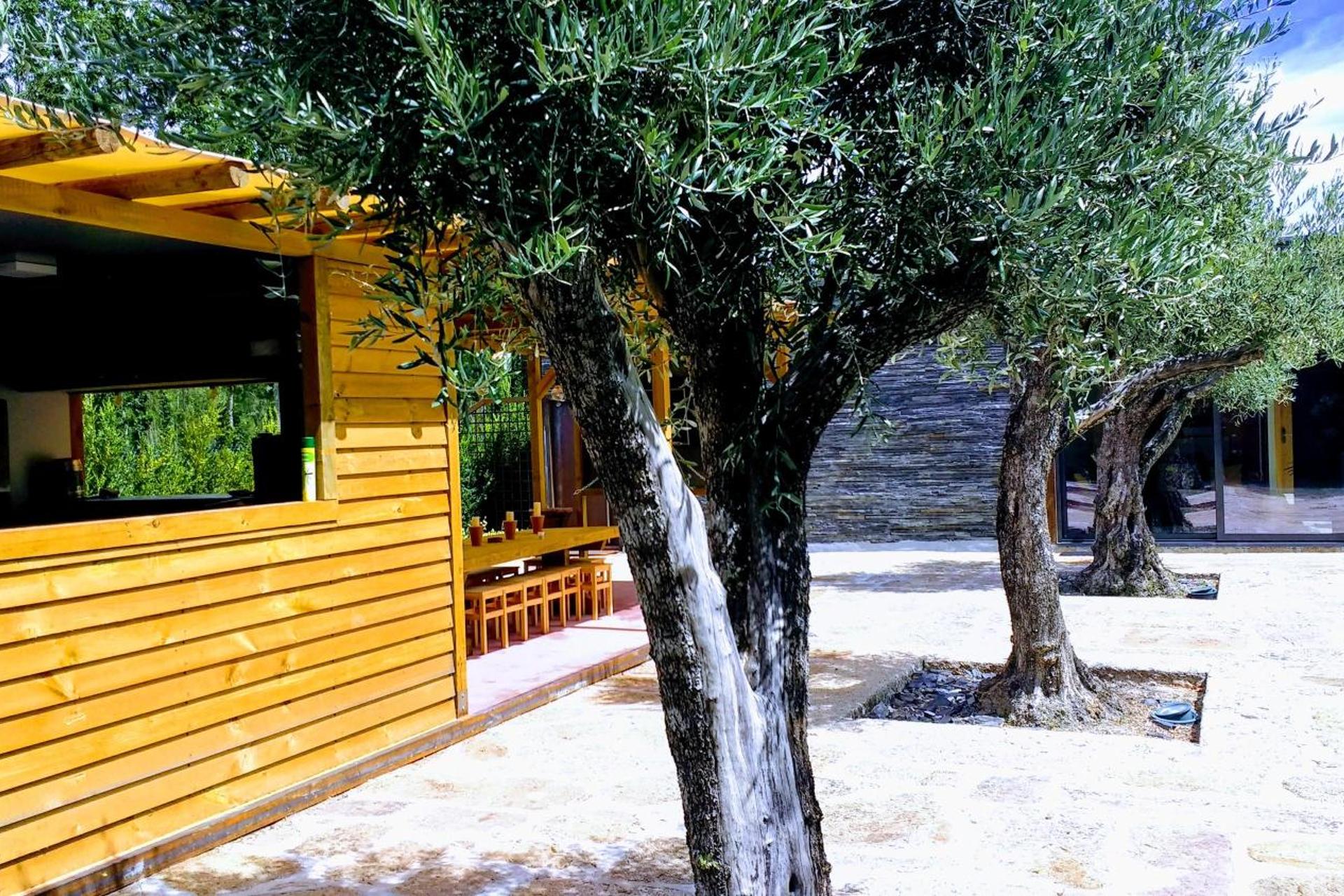 Descubra a Casa do Prado Guesthouse: O Refúgio Perfeito - Imagem 32