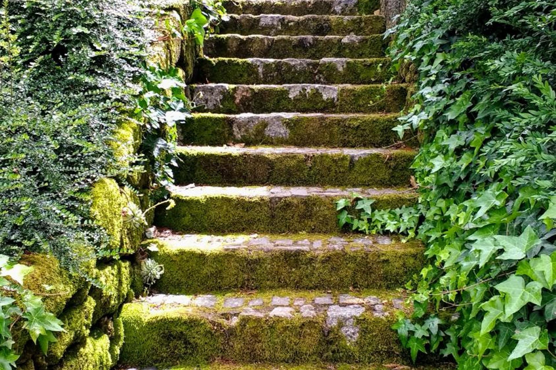 Descubra a Casa do Prado Guesthouse: O Refúgio Perfeito - Imagem 36