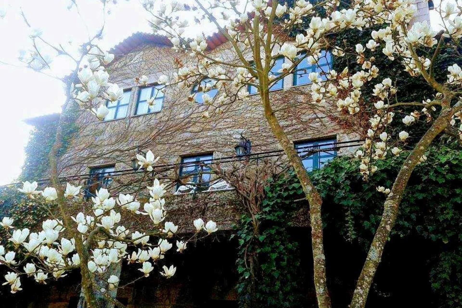 Descubra a Casa do Prado Guesthouse: O Refúgio Perfeito - Imagem 42