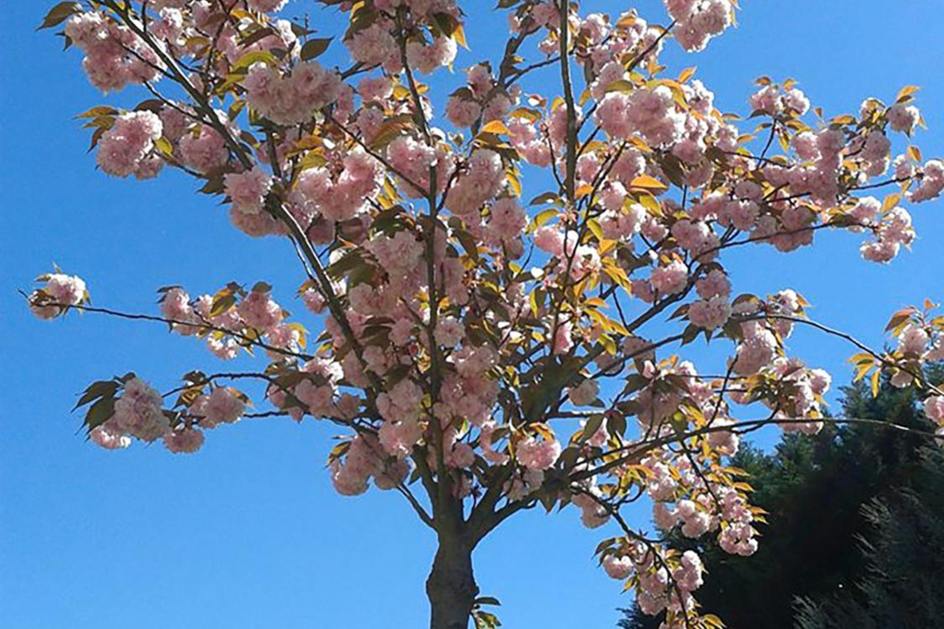 Descubra a Casa do Prado Guesthouse: O Refúgio Perfeito - Imagem 44