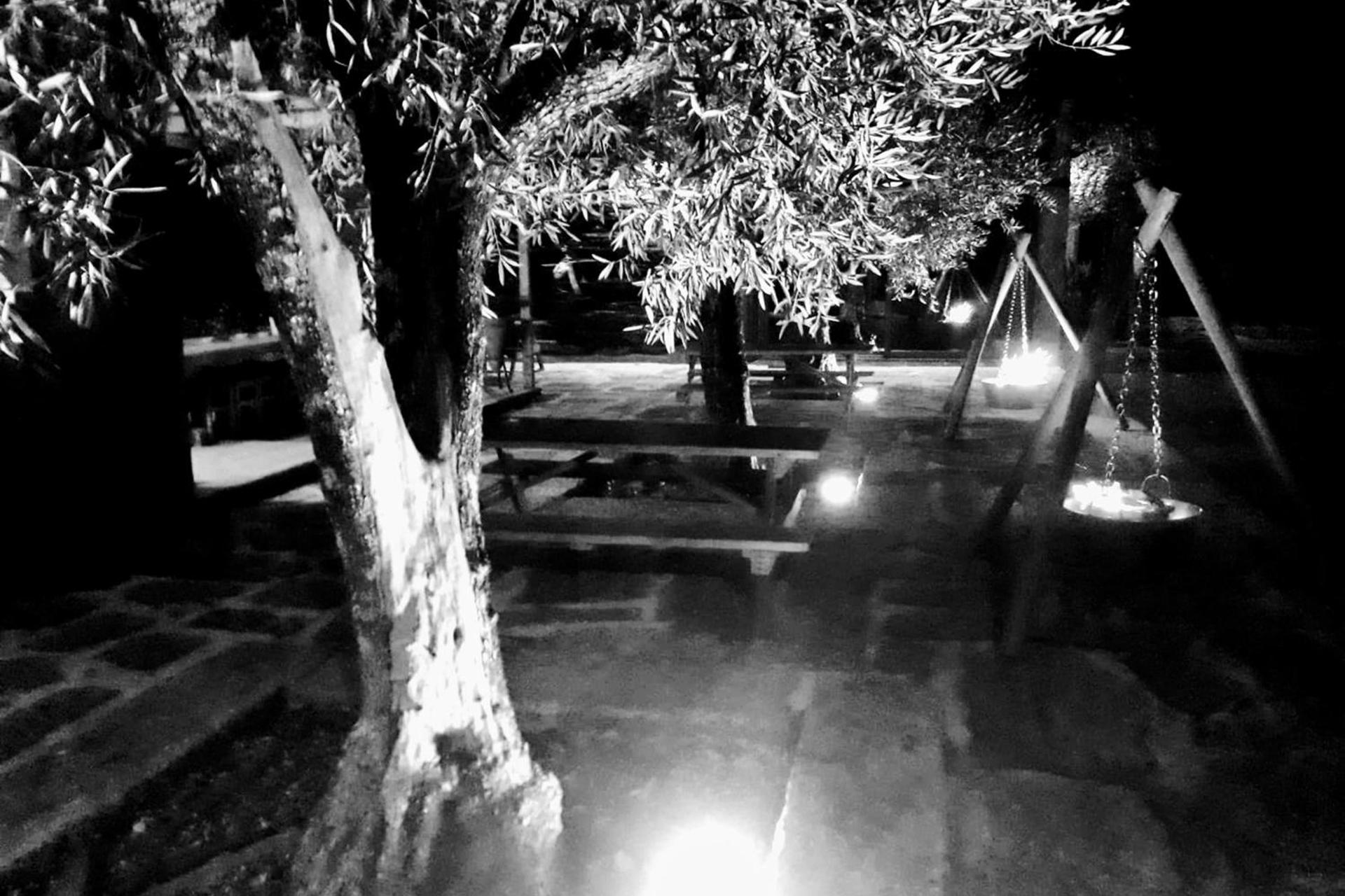 Descubra a Casa do Prado Guesthouse: O Refúgio Perfeito - Imagem 66